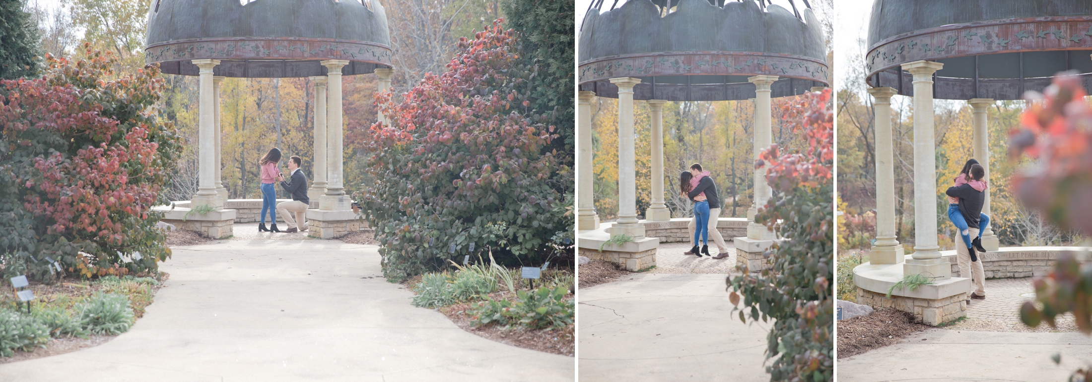 Wisconsin wedding photographer, Green Bay Botanical Gardens Proposal, Engagement Photos