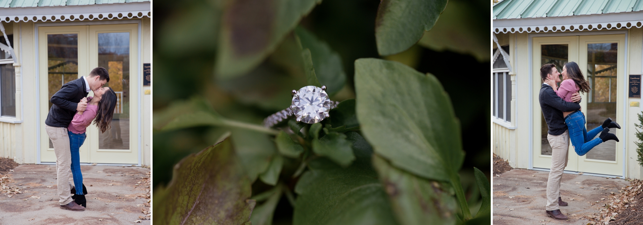 Wisconsin wedding photographer, Green Bay Botanical Gardens Proposal, Engagement Photos