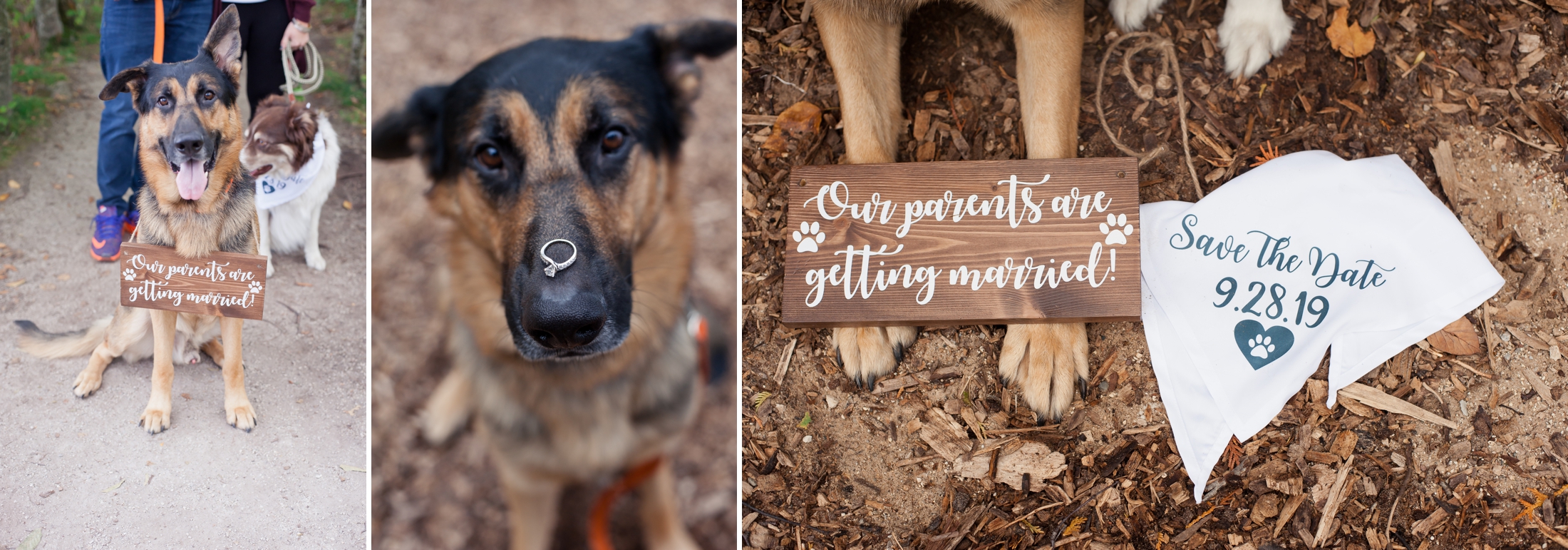 Door County Engagement Photoshoot | KLEM Studios