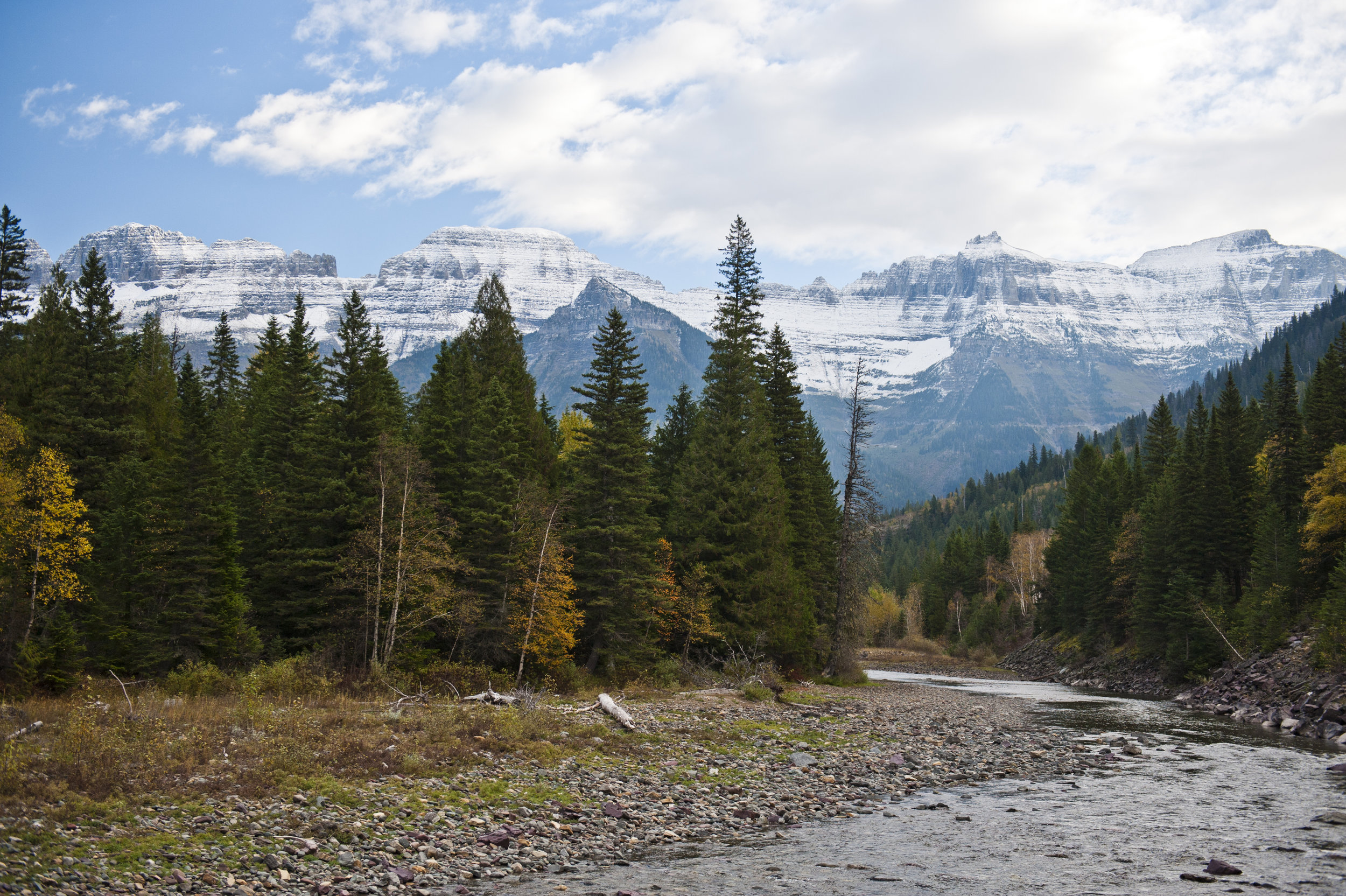 Elope in Glacier National Park | KLEM Studios Photography