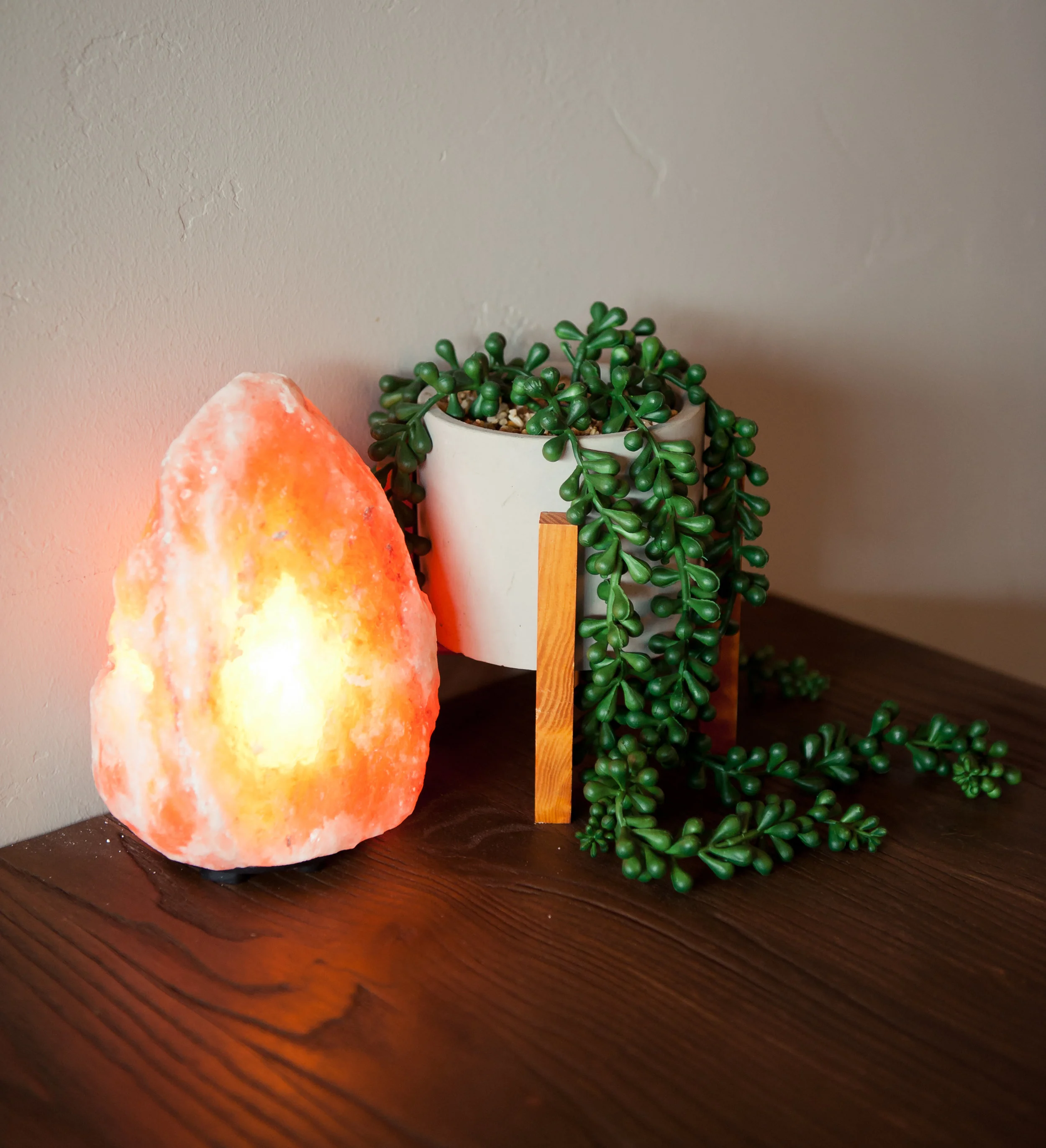 Green Bay Rising Tide Society