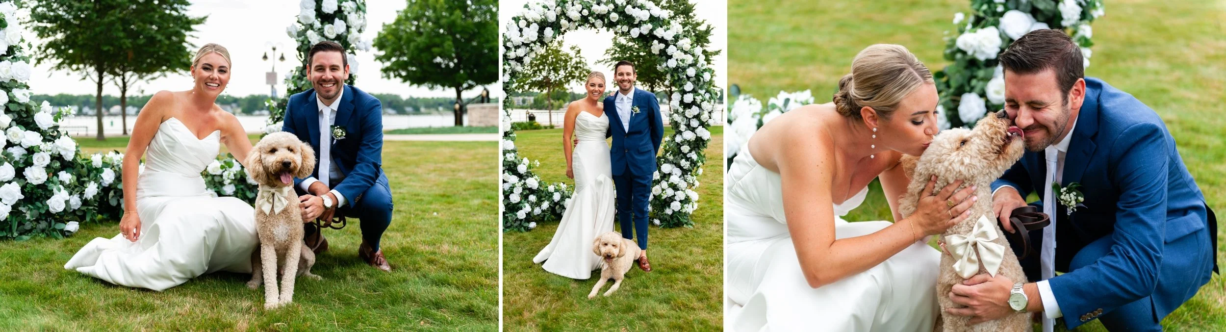 Sunset Beach moments wedding photography, have your dog on your wedding day