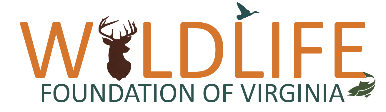 Wildlife Logo - Pantone2.png