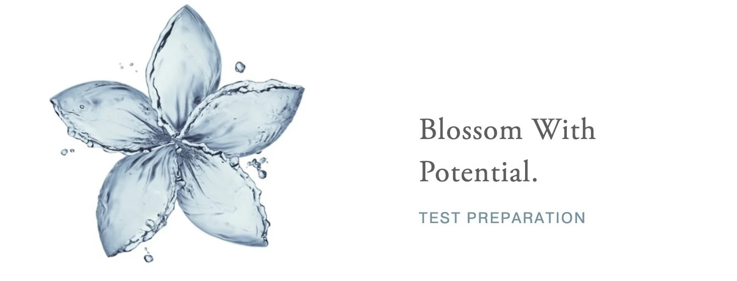 Image 4-28-25 at 11.09 AM.jpeg