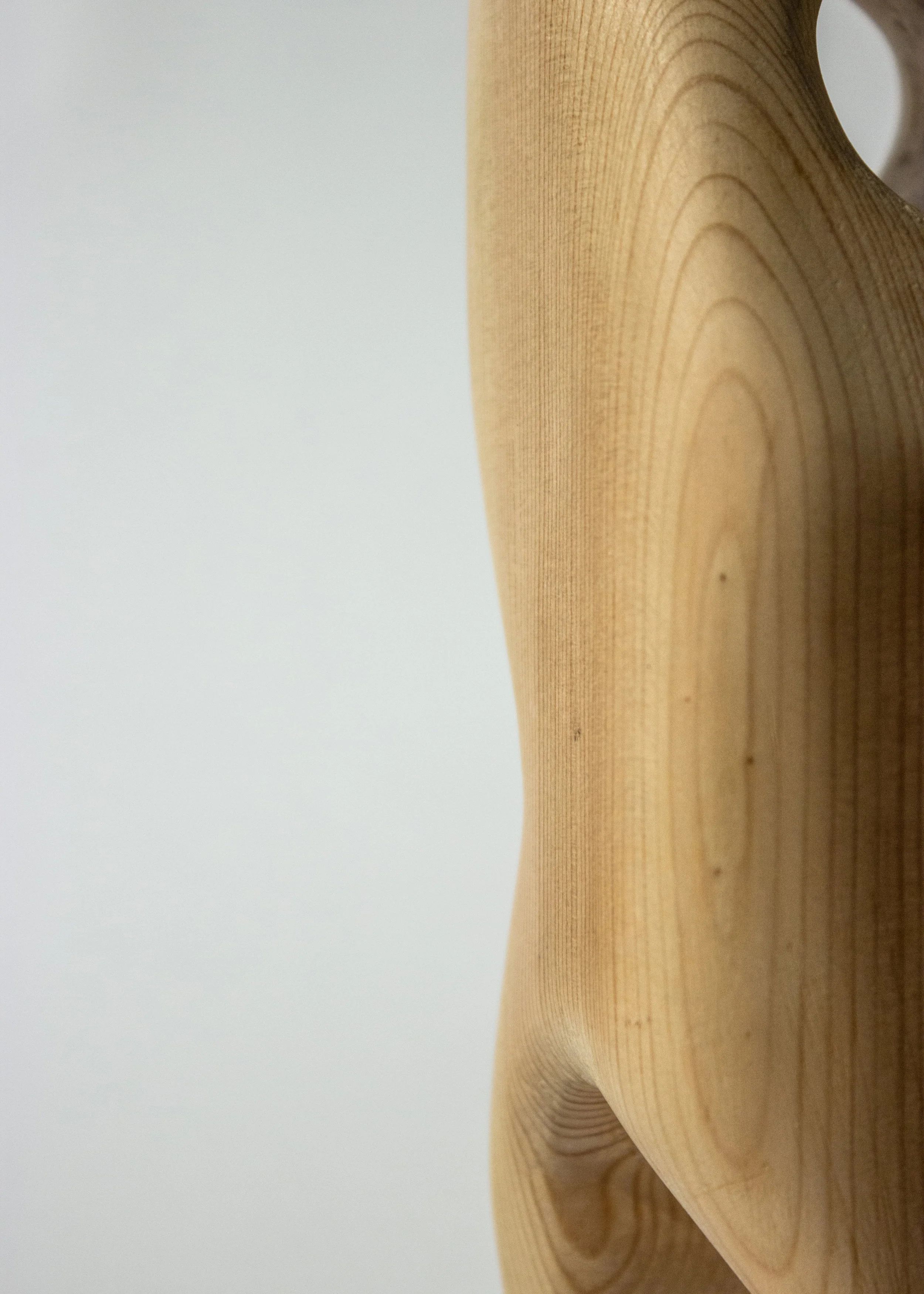 carvescapes_edit_crop-9.jpg