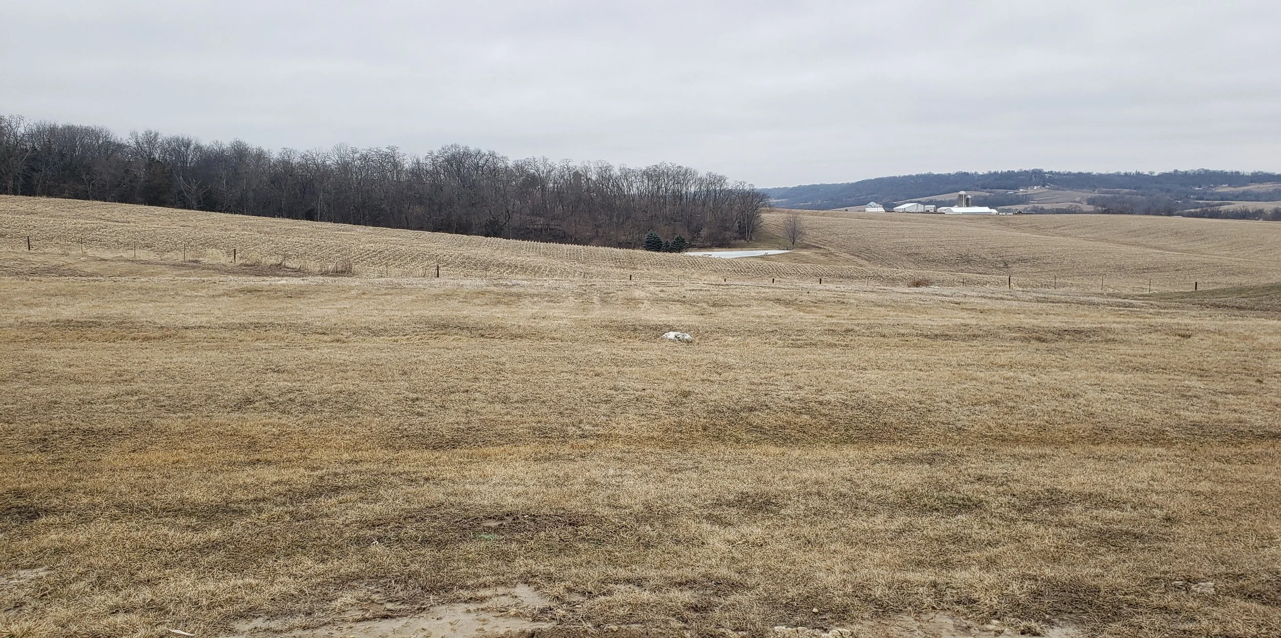 Lot 7 Oakland Ridge Est.jpg