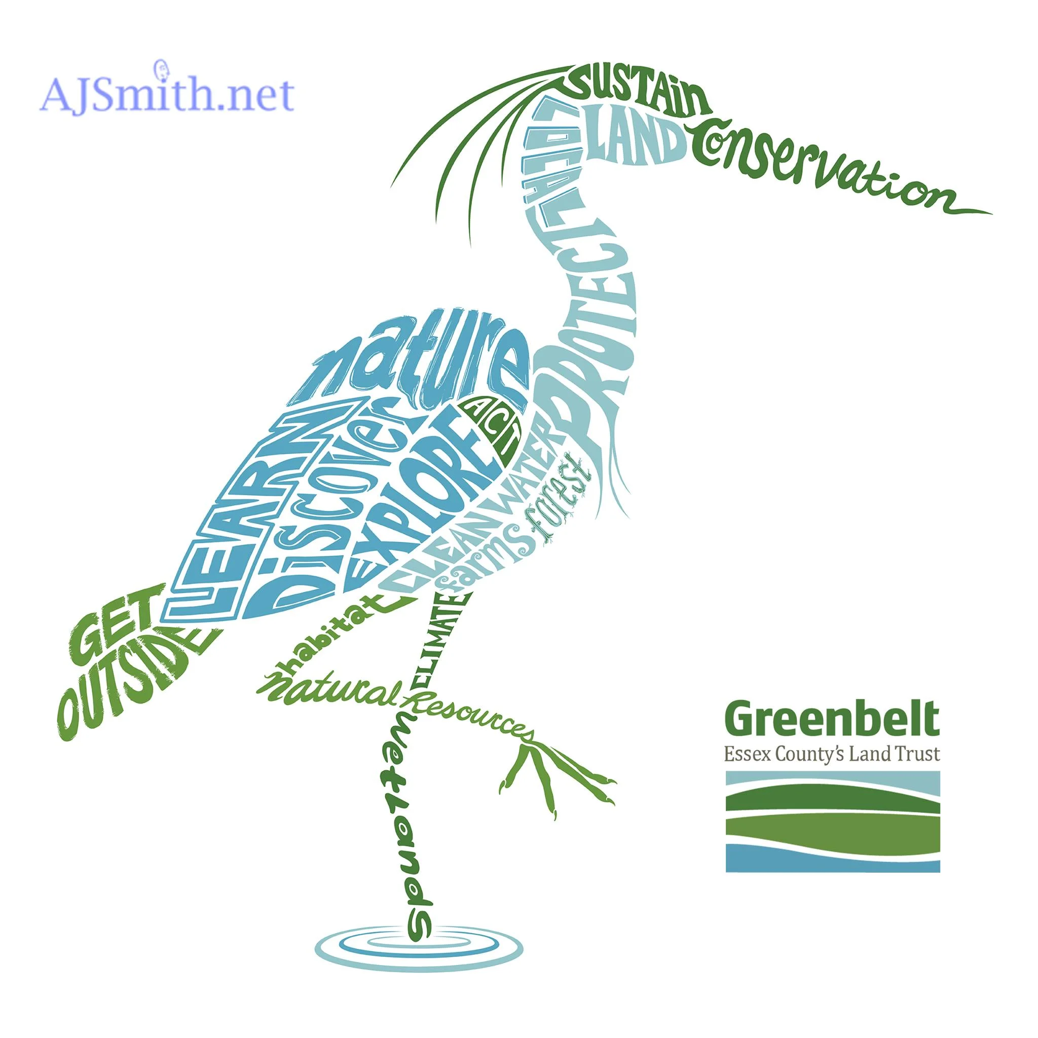 Greenbelt Heron