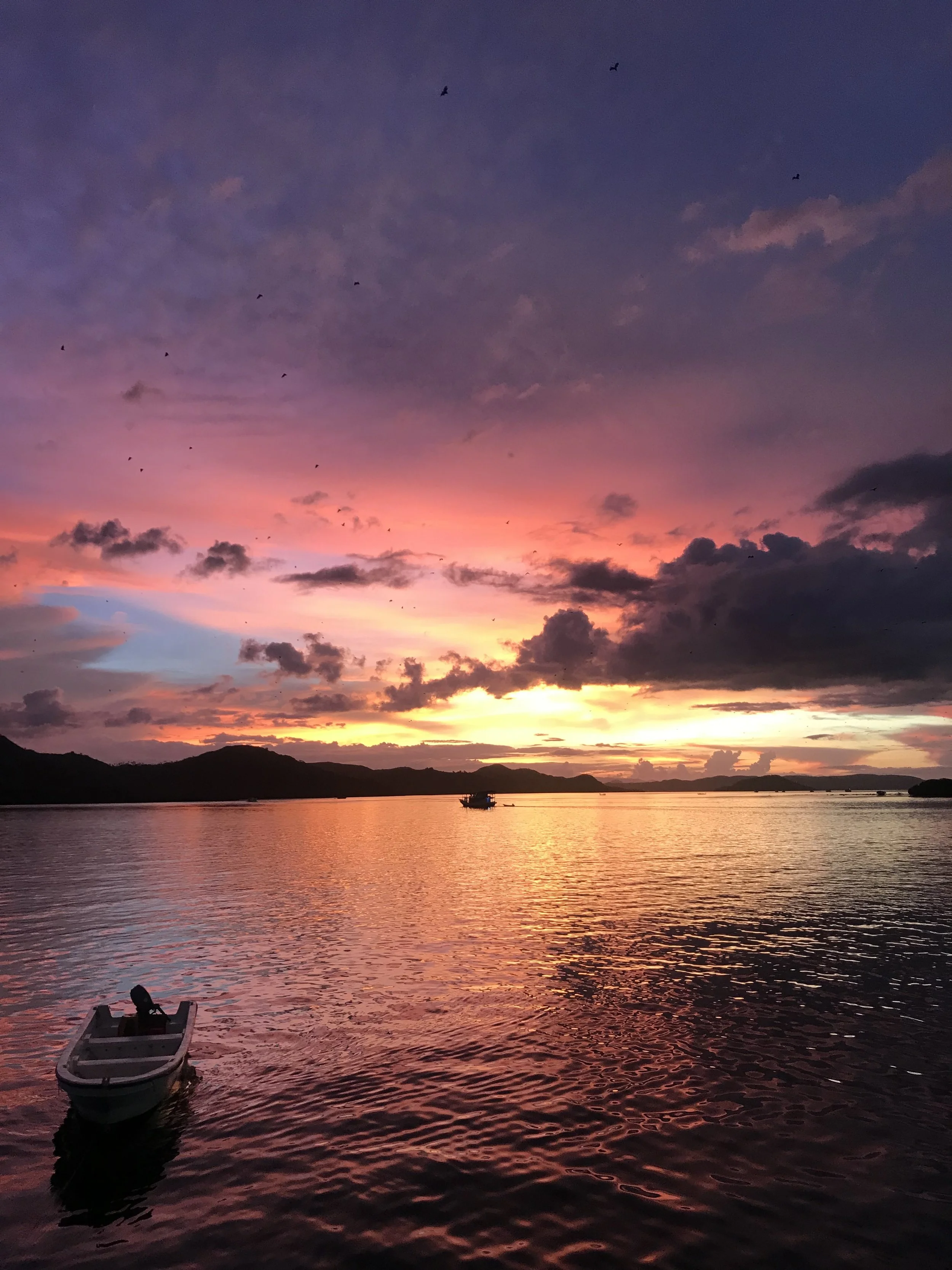  32: What happens when the fear of bed bugs drives you to book another boat trip?