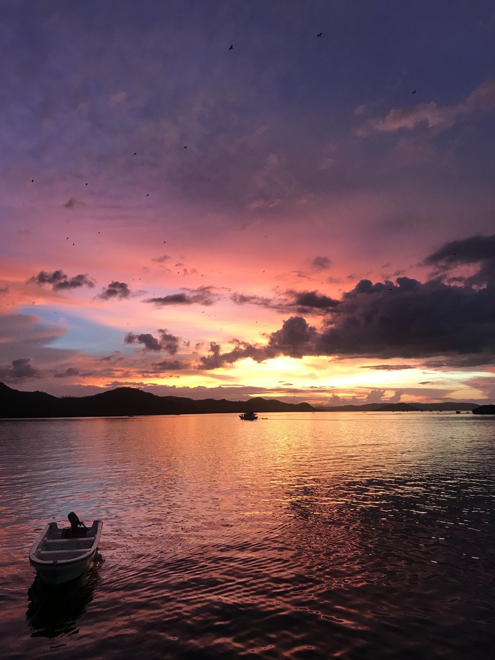  32: What happens when the fear of bed bugs drives you to book another boat trip?