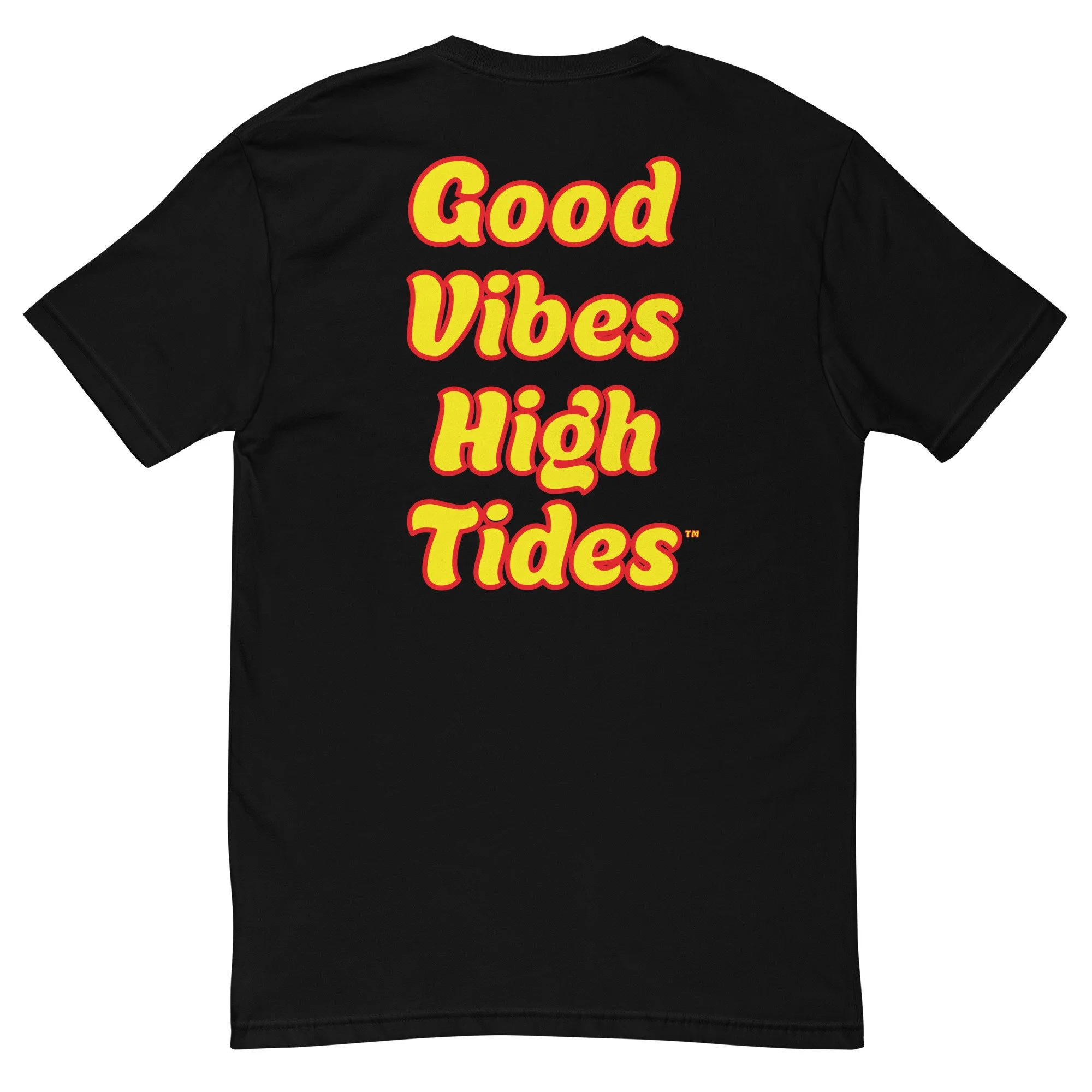 mens-fitted-t-shirt-black-back-6a87818345f5e.jpg
