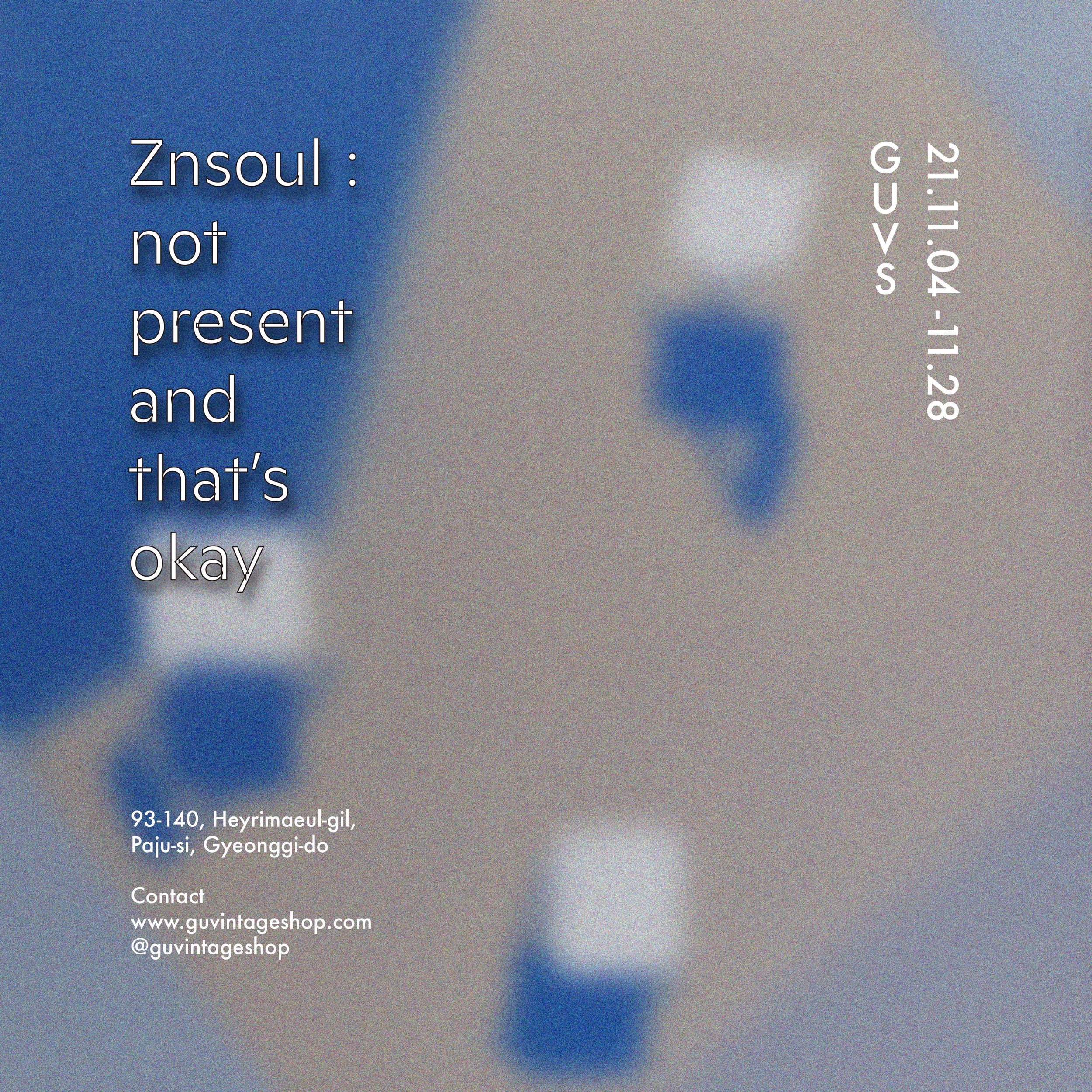 znsoul poster.jpg