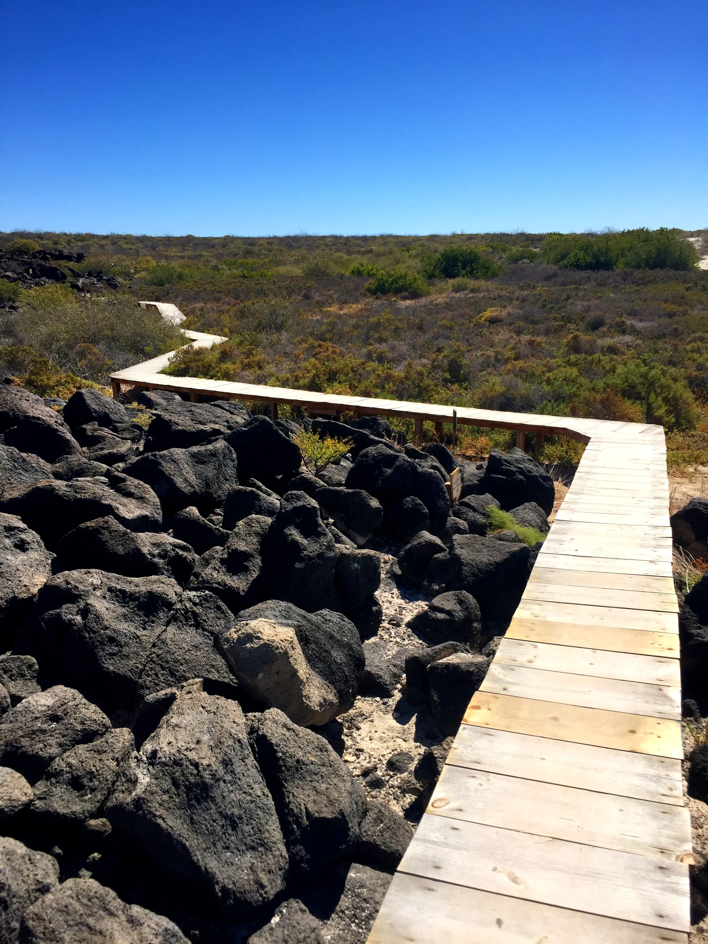 path