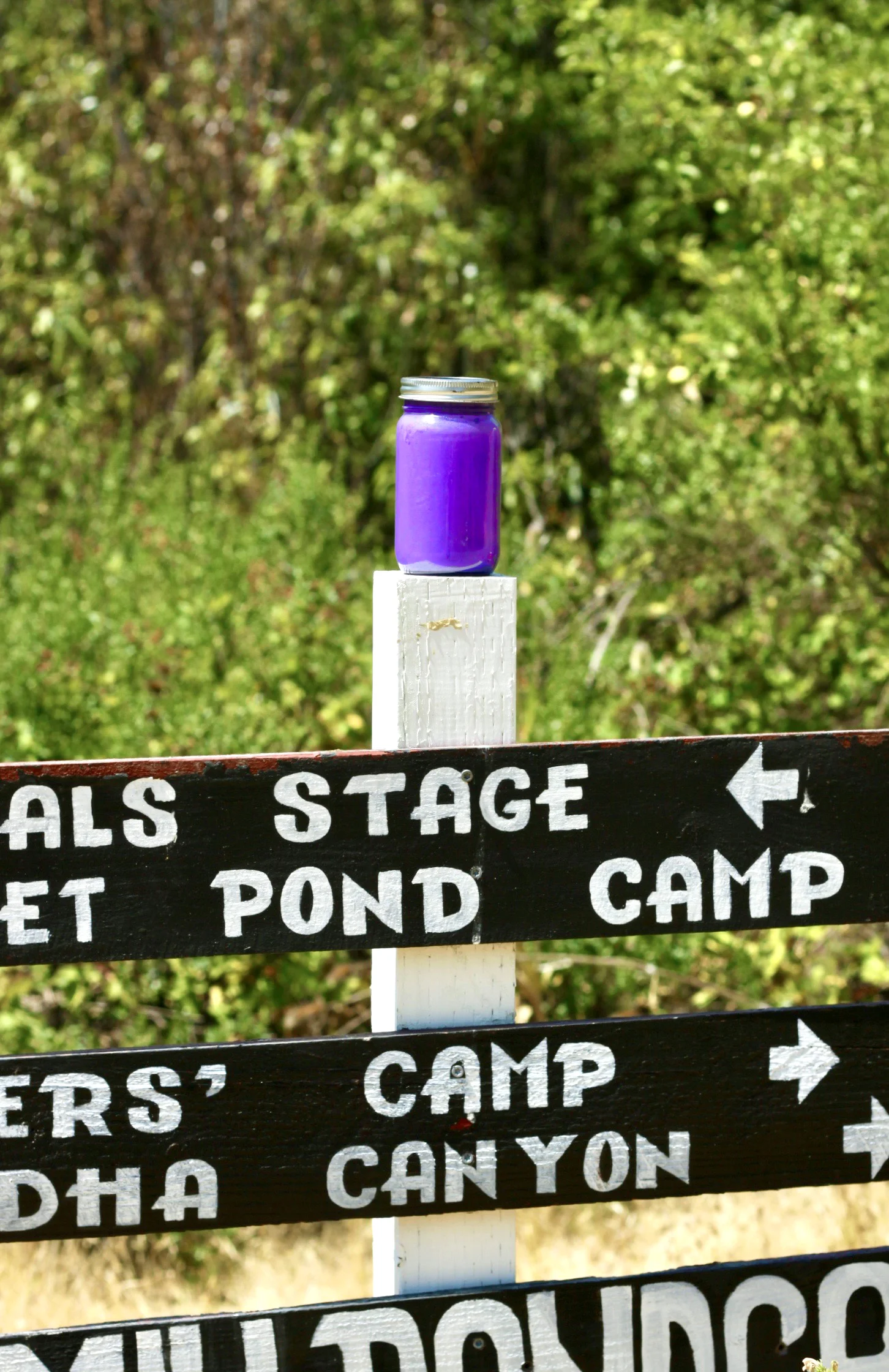 purple jar.jpg