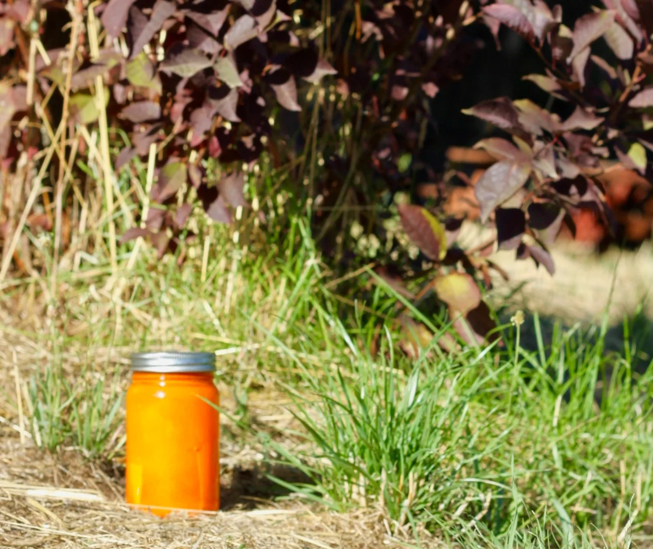 orange jar.jpg