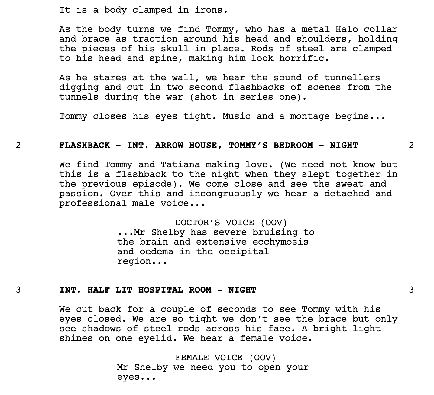 Spec Screenplay Examples – What is a Spec Script — Definition, Examples ...
