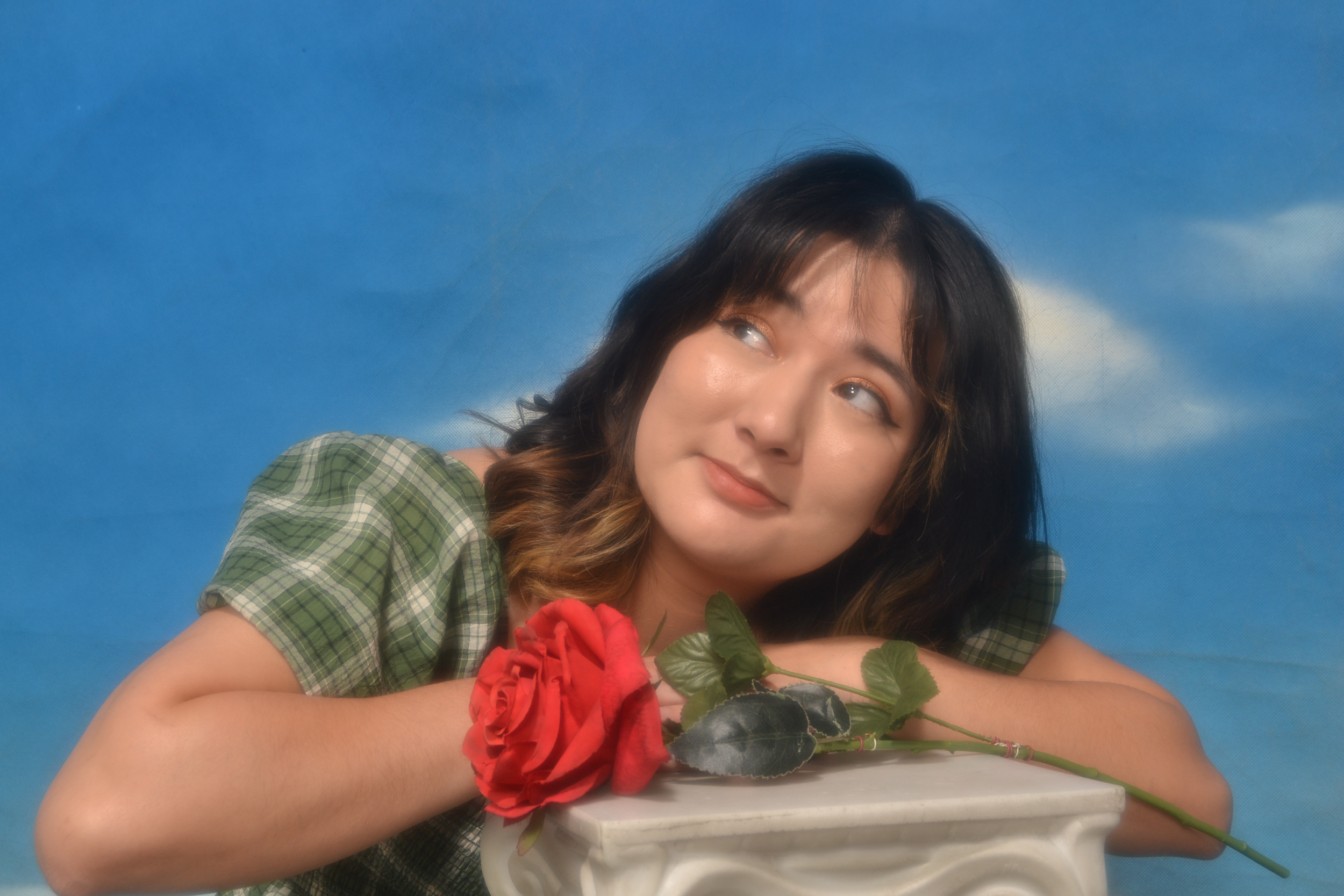 Isabel Meza-Roquebert