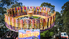 roundup-4325s.jpg
