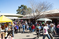 CD365.jpg