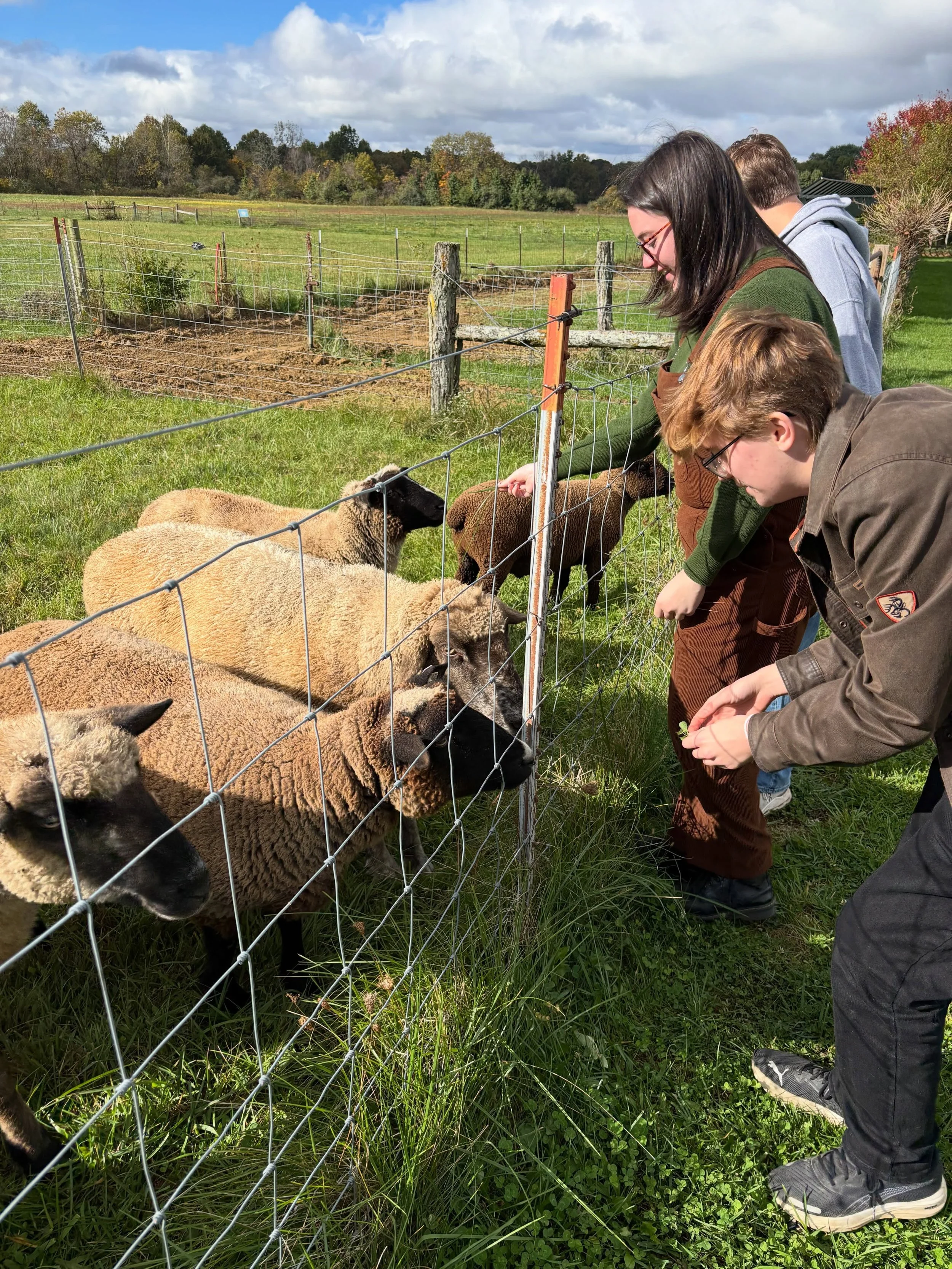 We held a retreat over fall break at a local ecological respite @shepherds_corner While we were there we enjoyed the beauty of this pasture, the sweet sheep, and the contemplative winding trail they offer their guests. It was a healing time filled wi