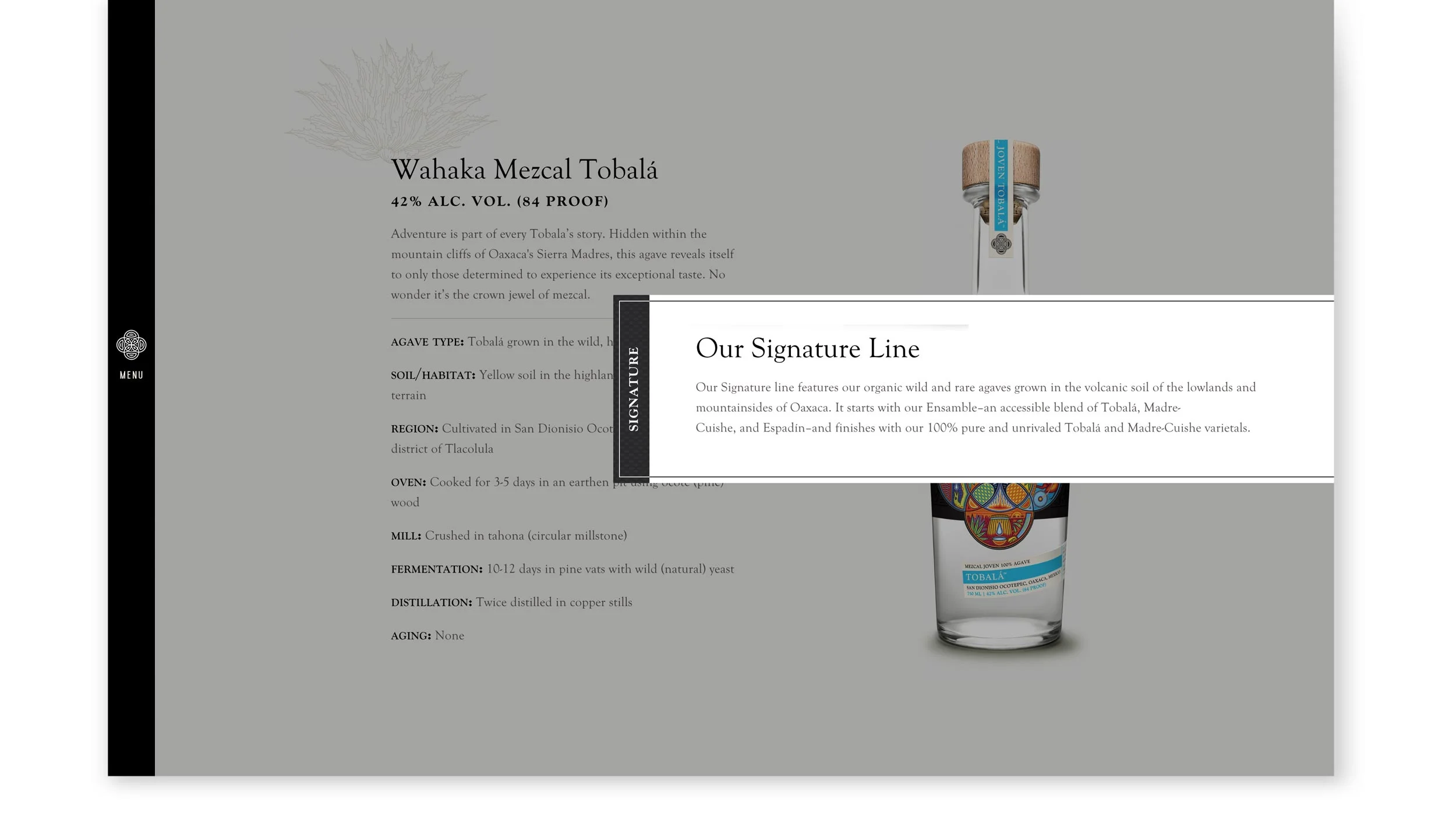 mezcal-website-design-seattle.jpg