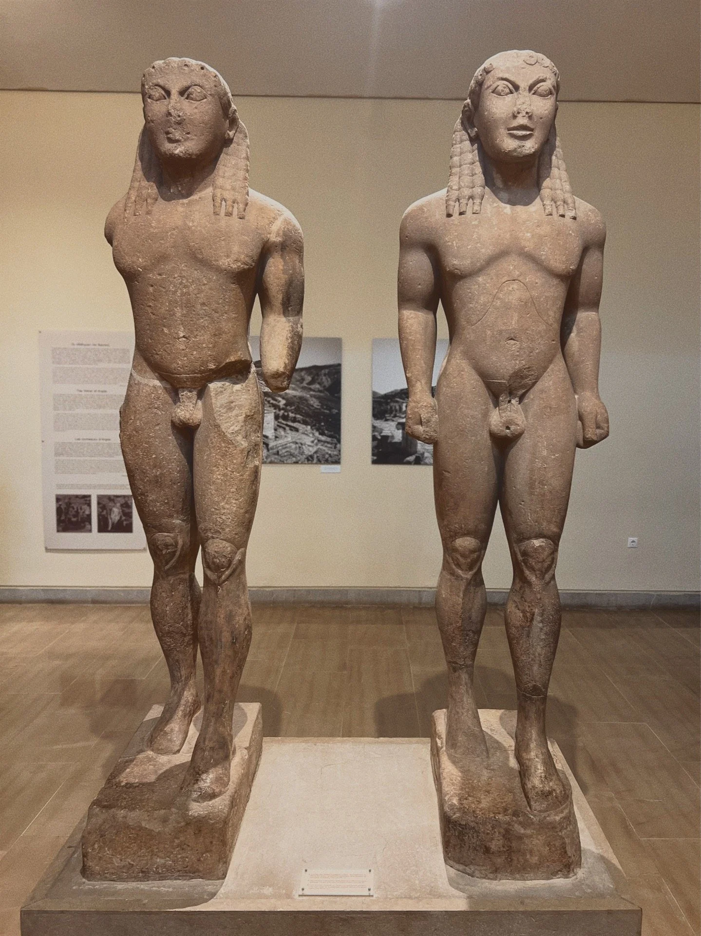 male guardians w egyptian locks