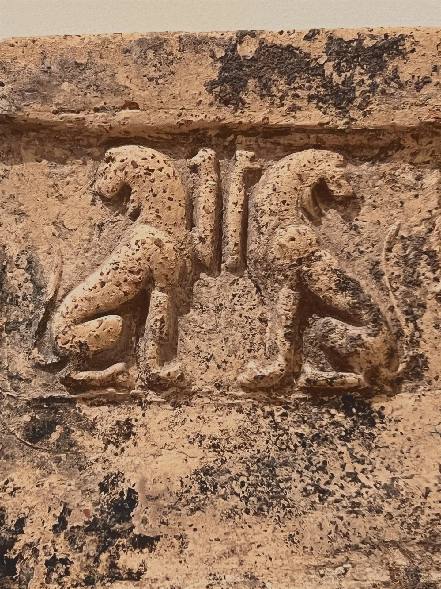 egyptian lions of yesterday &amp; tomorrow