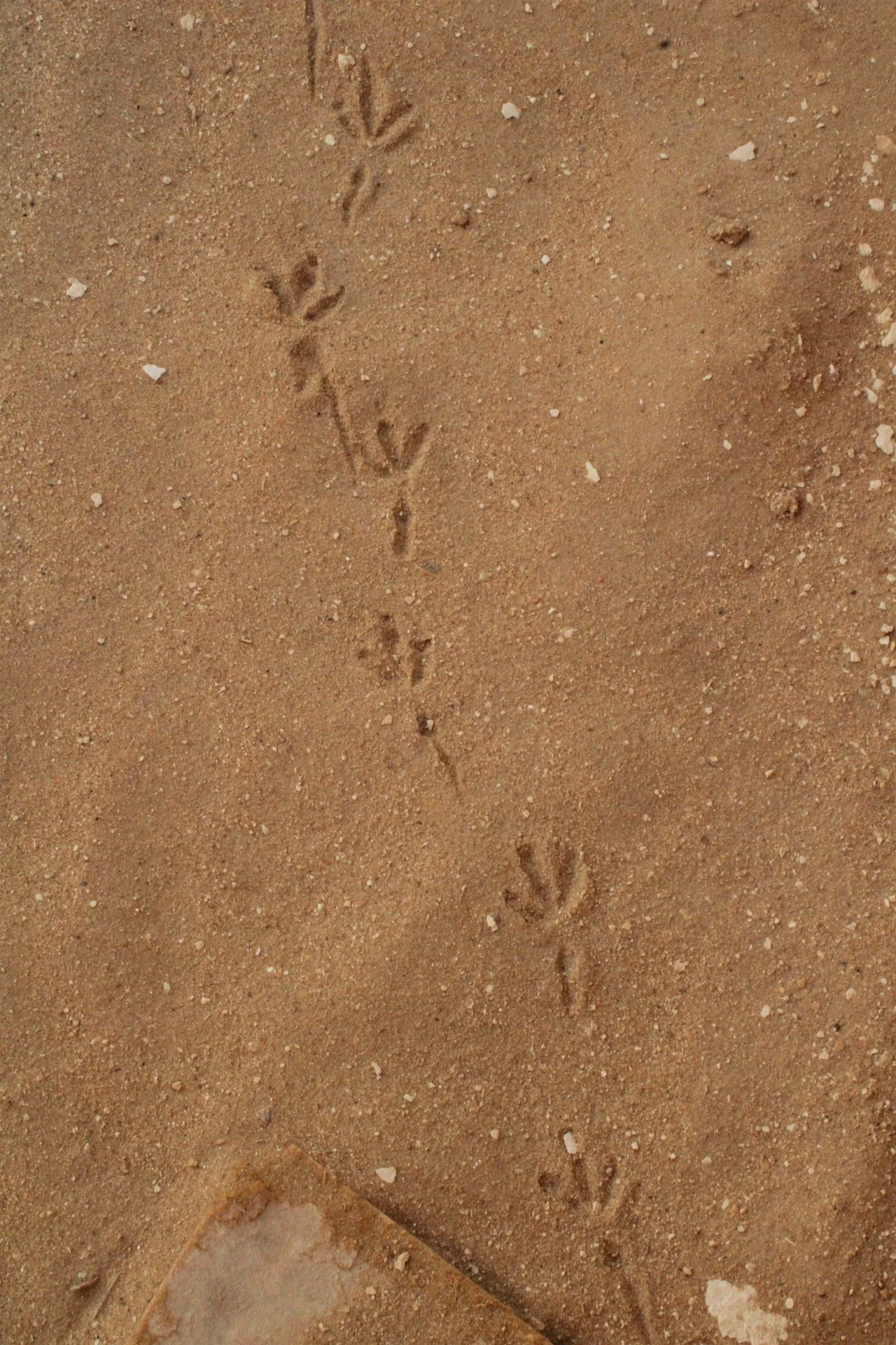 92747B80-0E60-4297-A27A-B061EF7ADBC2 2.JPG