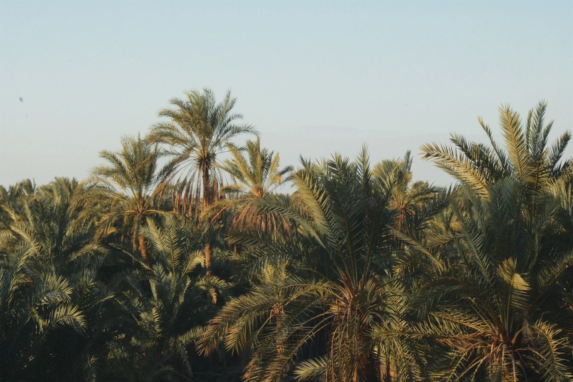 7D343C83-33EE-446B-A230-F6FE4ADBB3D2 2.JPG