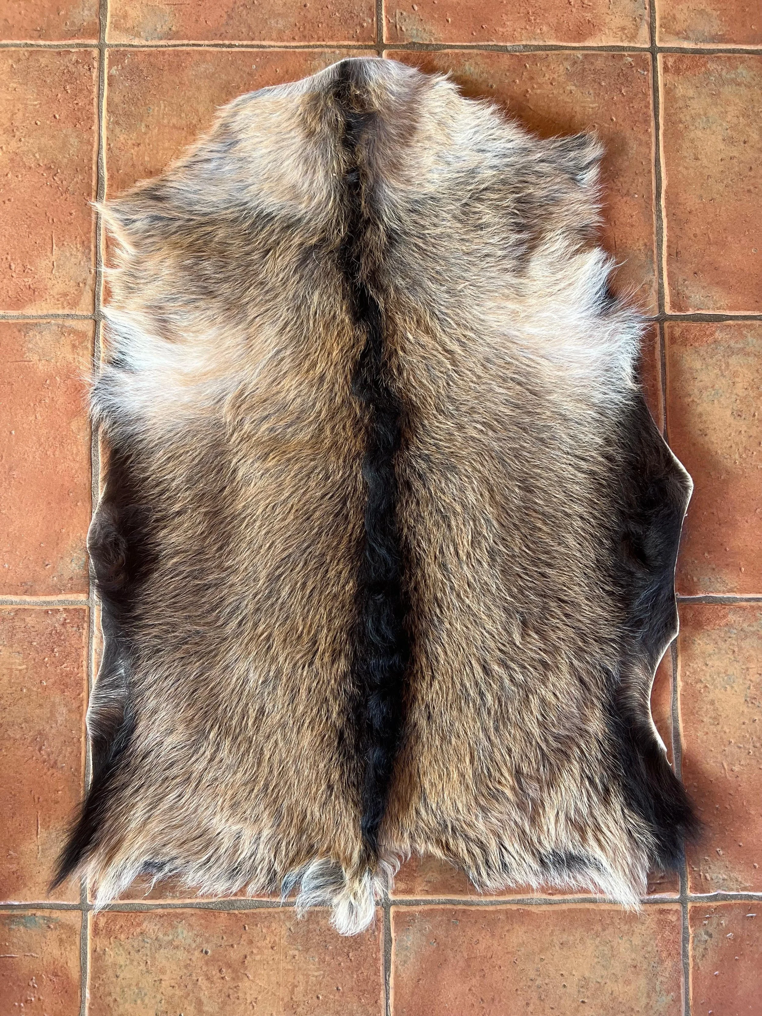 WhatsApp Image 2025-11-12 at 10.11.03 AM.jpeg