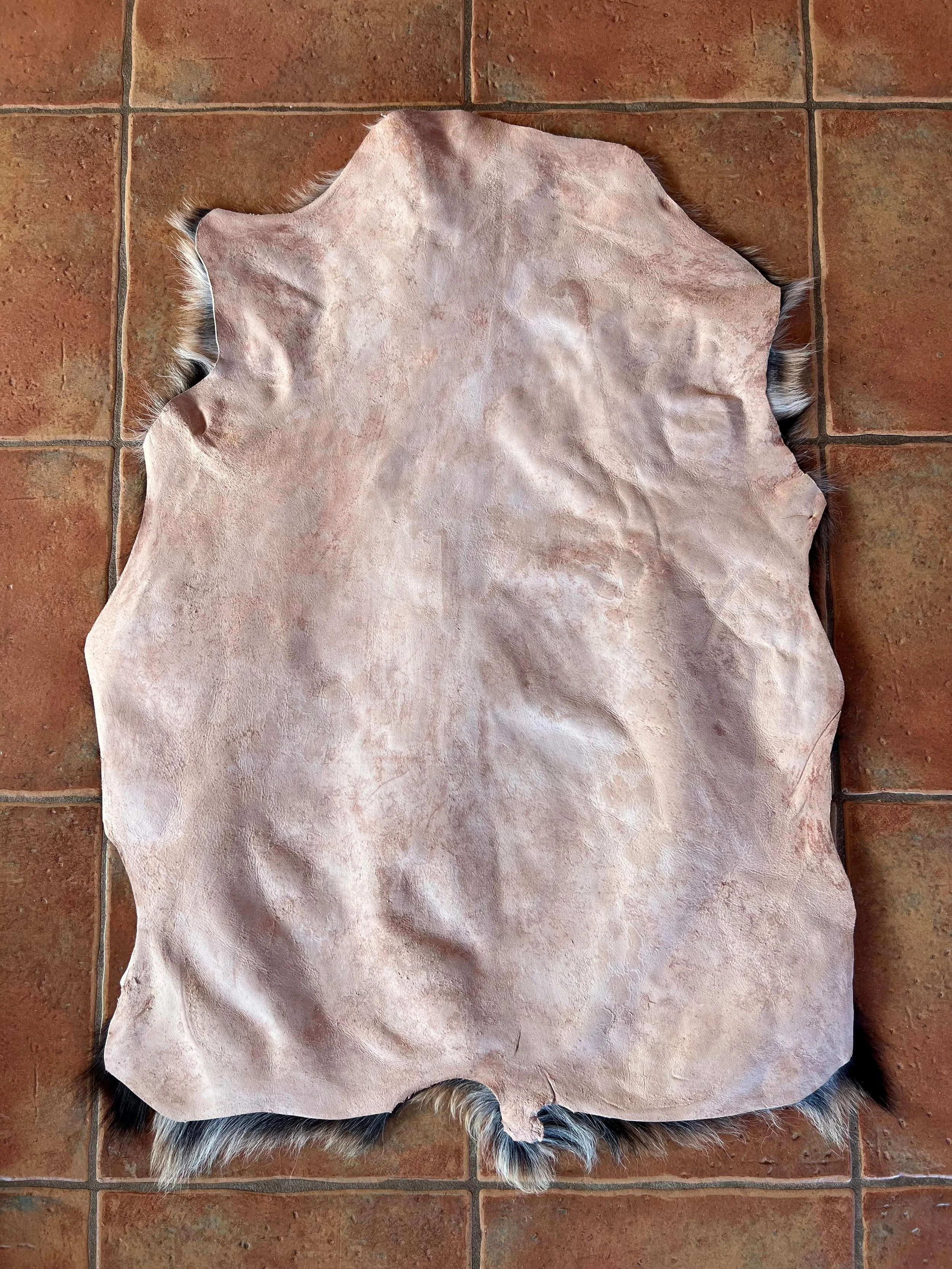 WhatsApp Image 2025-11-12 at 10.11.03 AM (1).jpeg