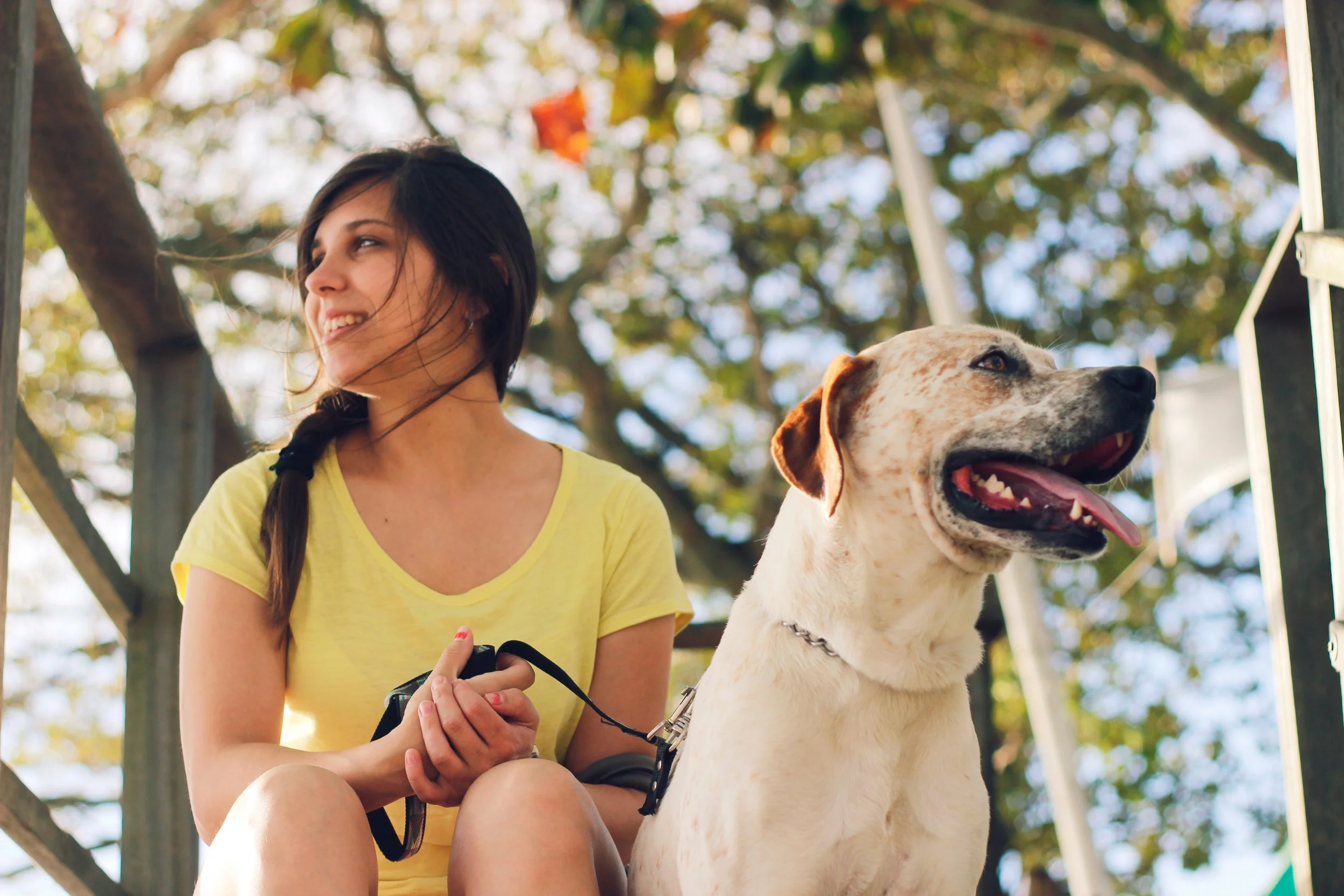  “We would be lost without Ashley. Hugo was kicked out of two daycares cause he reacted strongly against other larger male dogs. Two years with Ashley have been problem free. She fully understands dogs and is able to handle behaviour issues so well. 