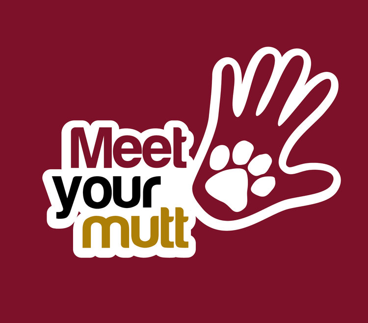 Meet Your Mutt