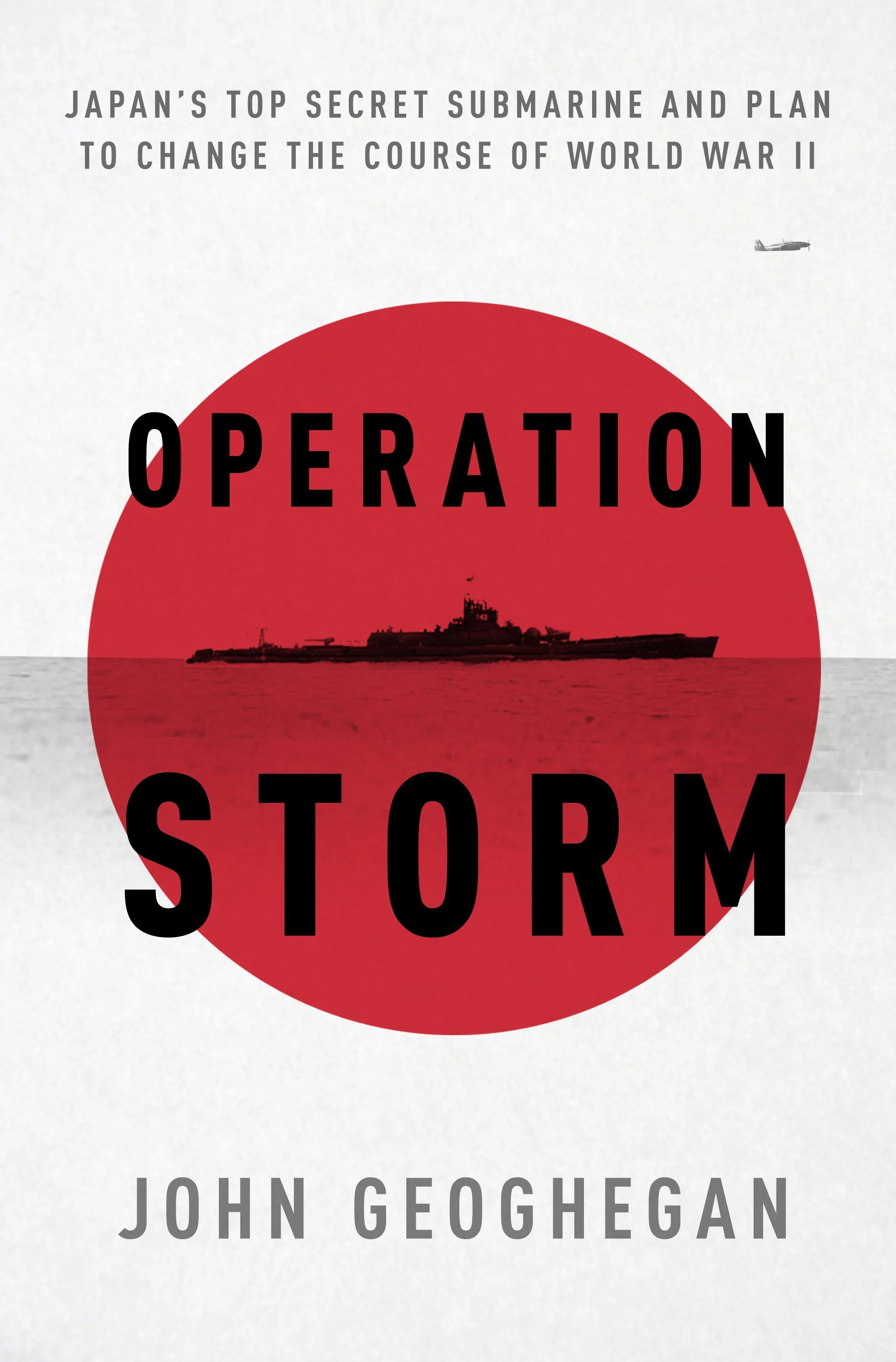 Book Club Discussion Group: OPERATION STORM
