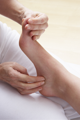 Ebb and Flow Reflexology 2026 g.png