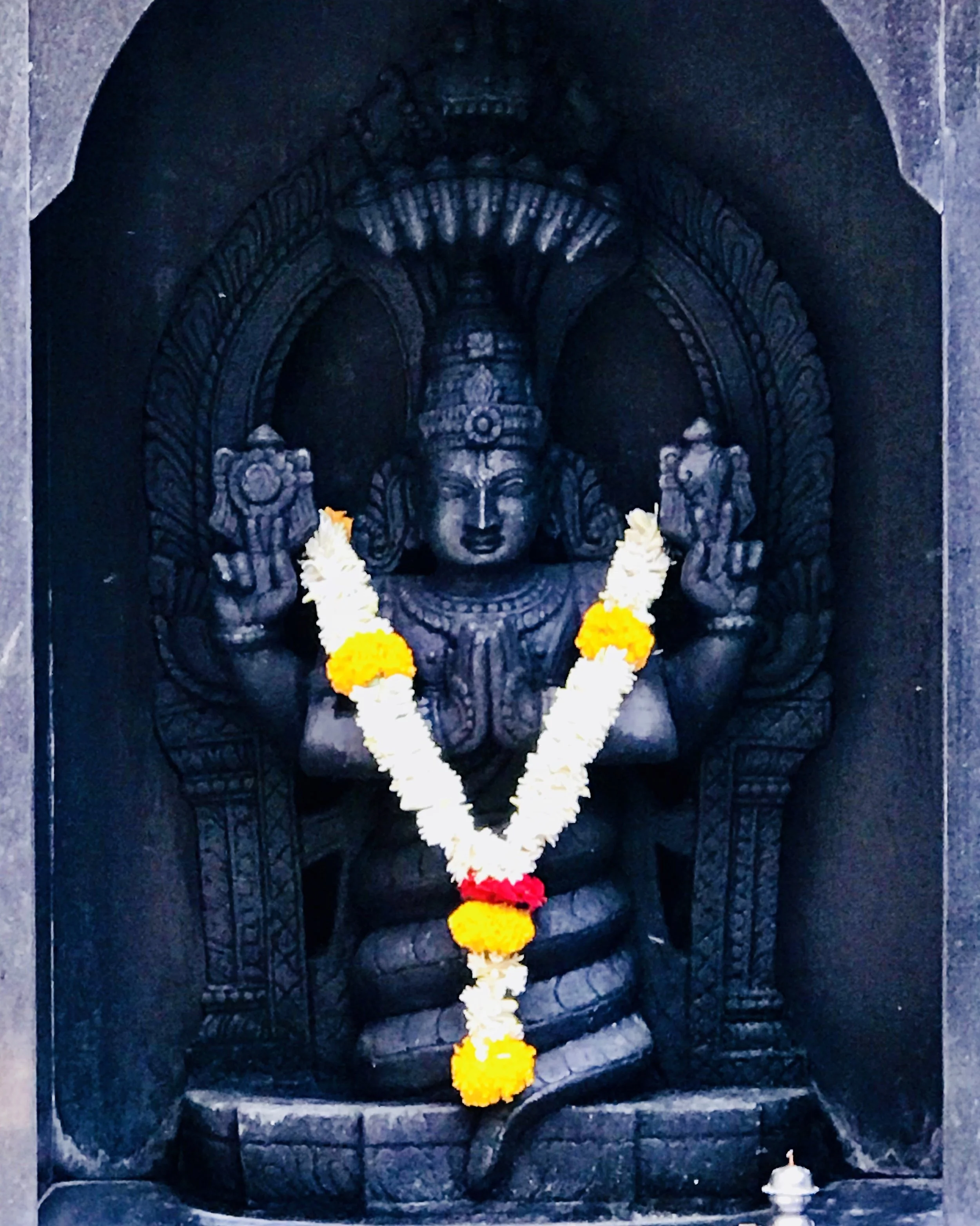 purnima patanjali.JPG