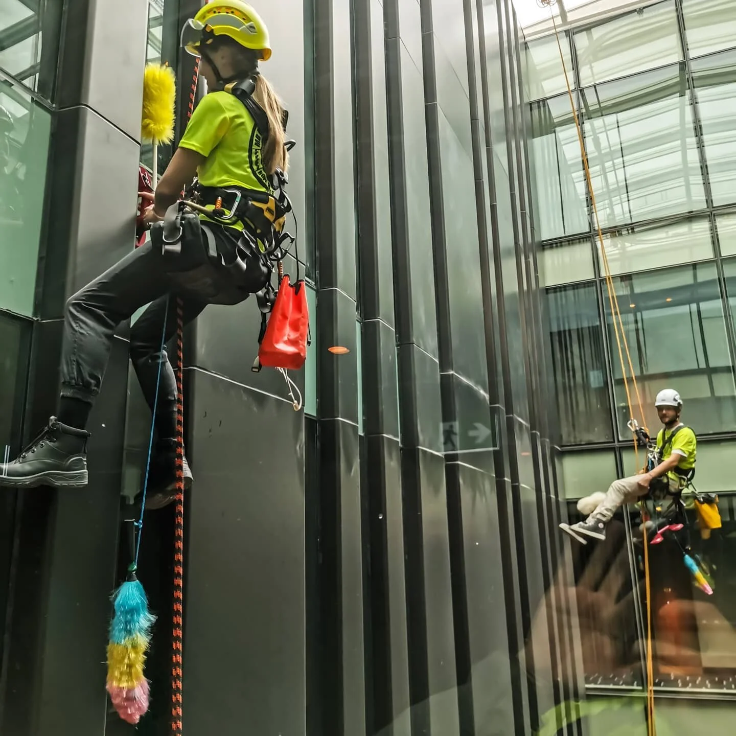 Cleaning at heights @mb_property_services 🇳🇿

#ropeaccess #constructionnz #petzl #singingrock #ropeaccesstechnician #ropeaccesslife #rigging #auckland #newzealand #mahi #mbpropertyservices #windowcleaning #access #height #abseil #abseiling #womenin