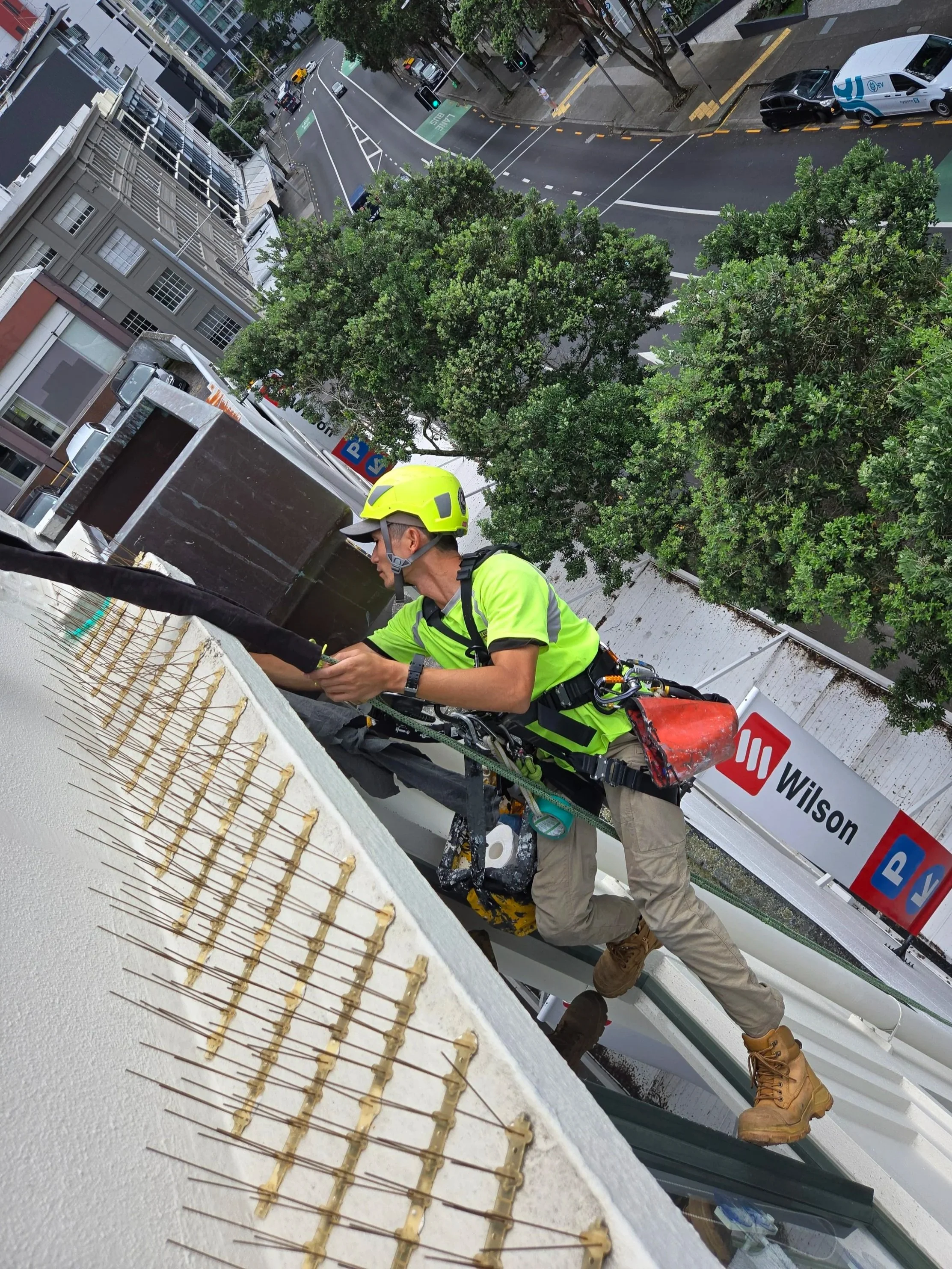 Checking the Small Details After Heavy Rain in Auckland