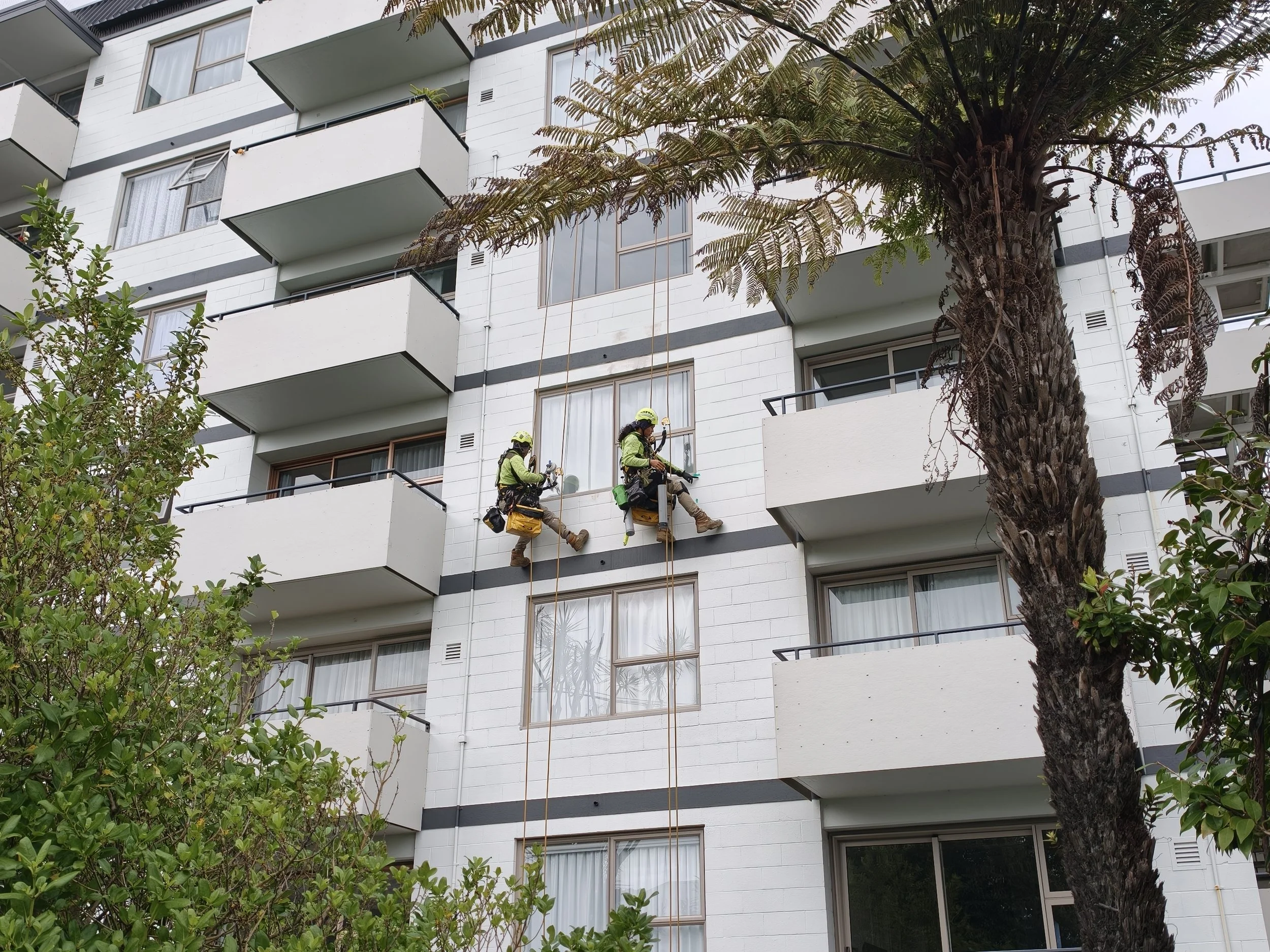 rope access Auckland