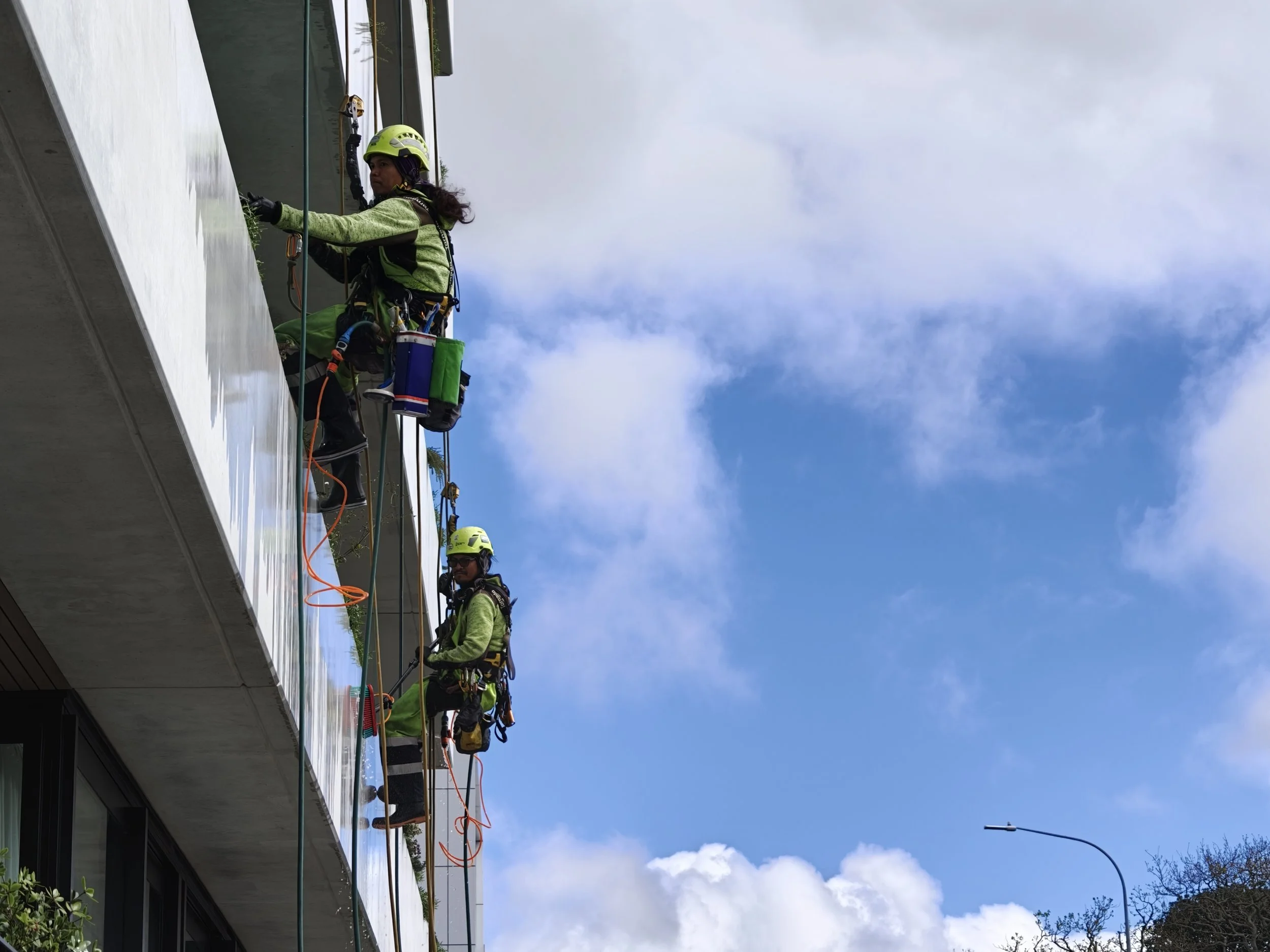 New-Build Rope Access Cleaning Auckland