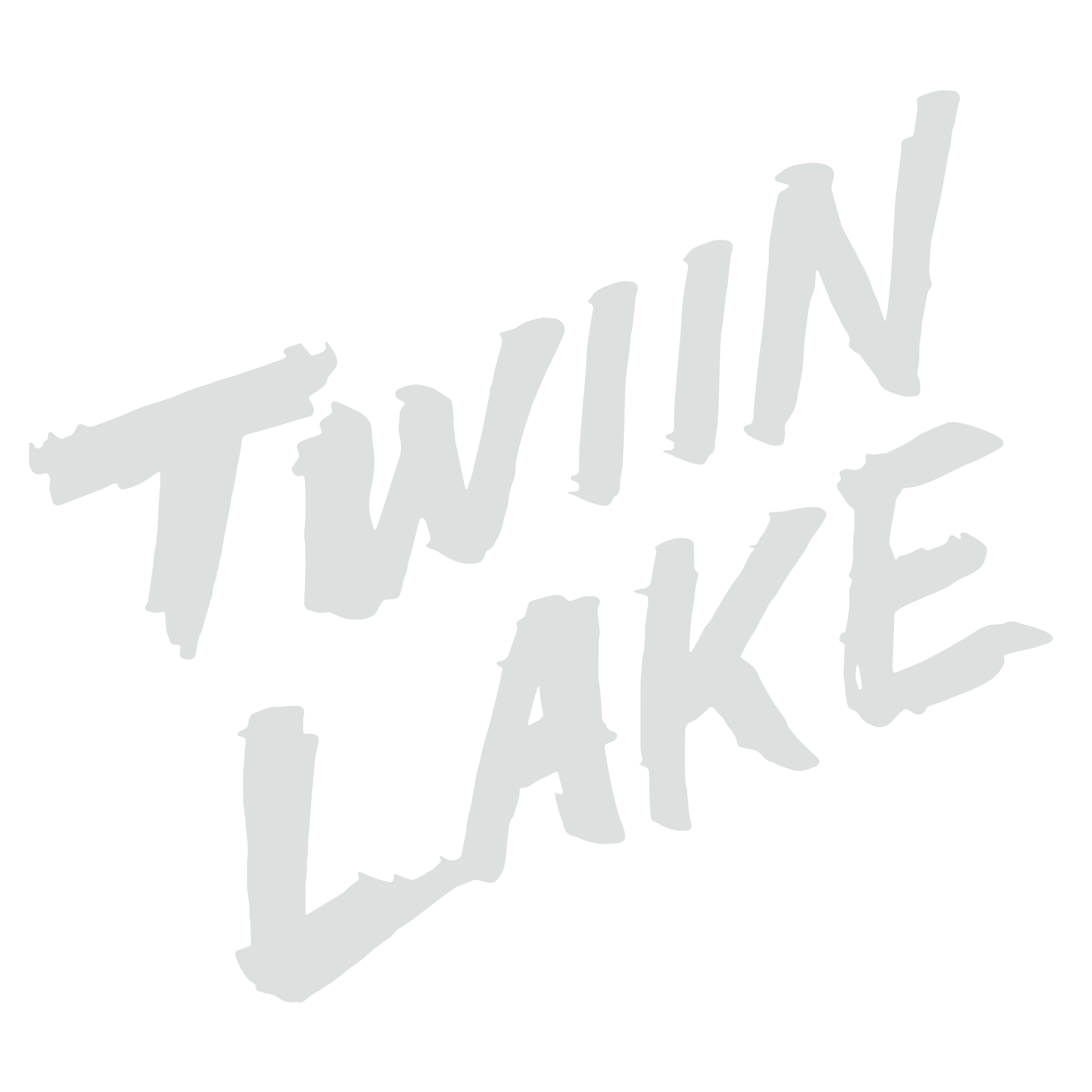 TWIIN LAKE