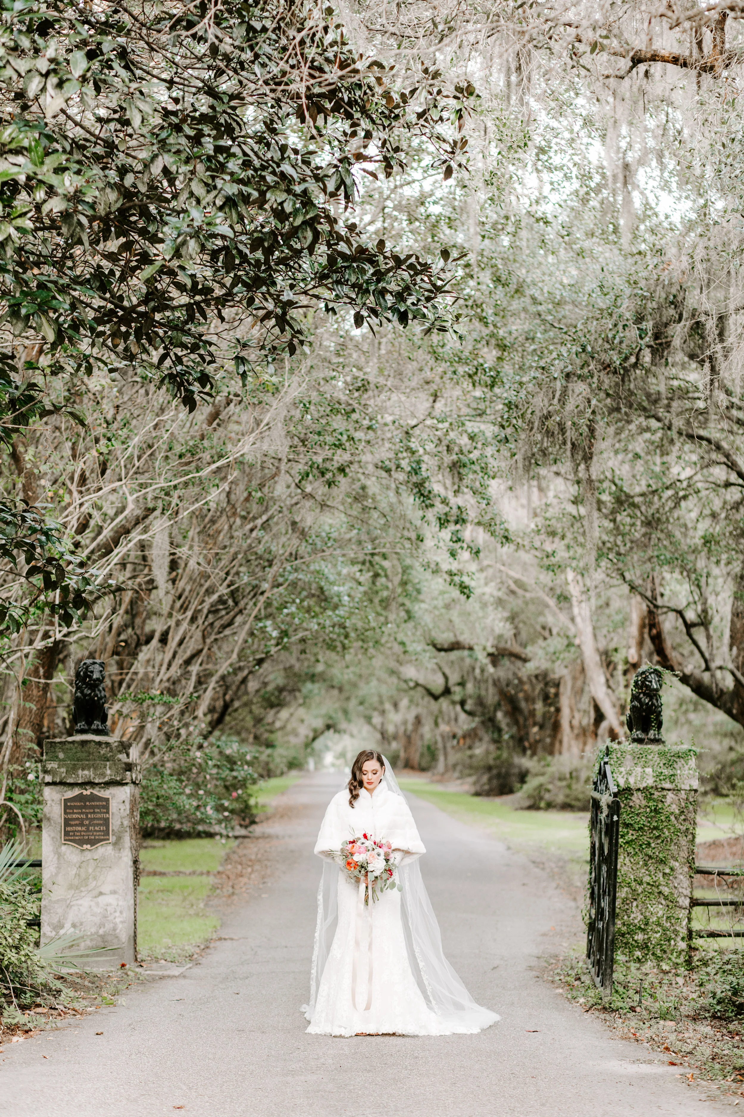 Photo Credit: Carly Jade Photography 