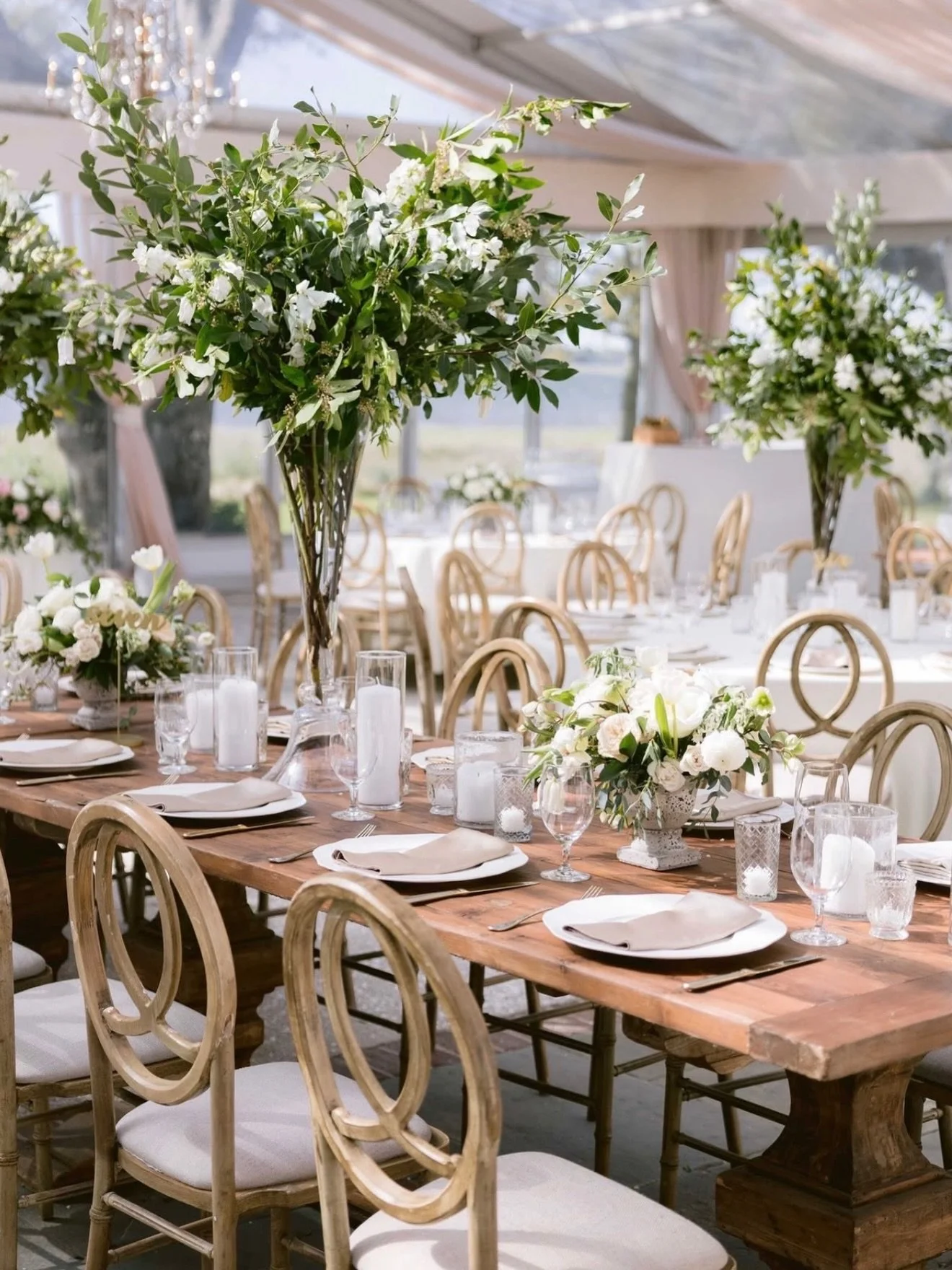 A few incredibly gorgeous scenes from this Lowndes Grove wedding. Green and white set against this stunning riverfront backdrop... you can&rsquo;t go wrong! 🤍💚

#TupeloHoneyFlowers #CharlestonFlorist #CharlestonWeddingFlowers #CharlestonWeddings #L