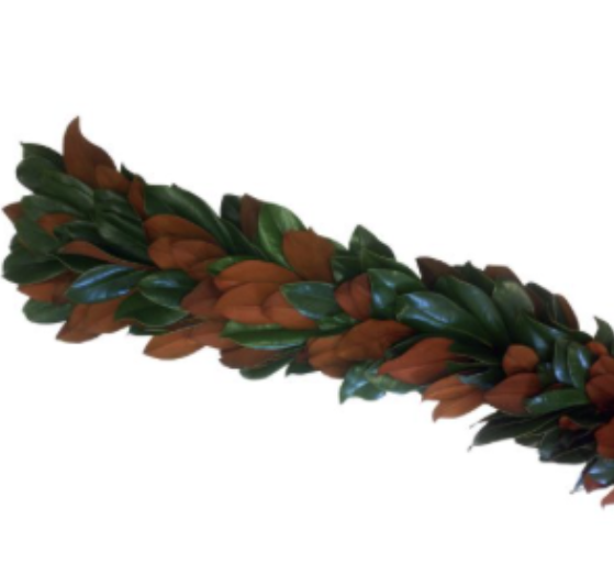 Magnolia Garland