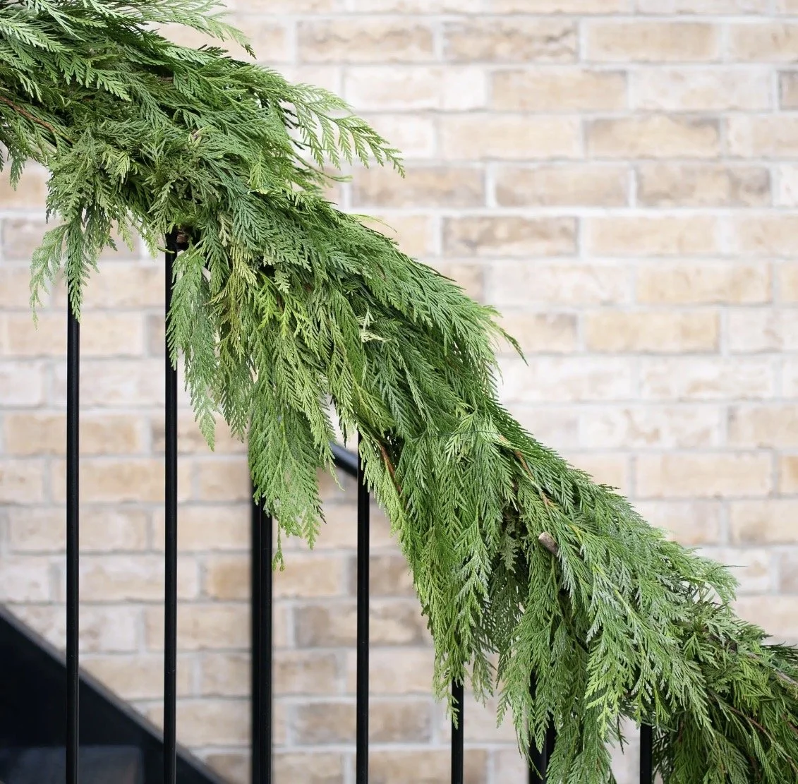 Cedar Garland 10 ft