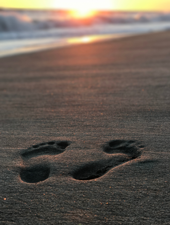 Untitled design (9).png