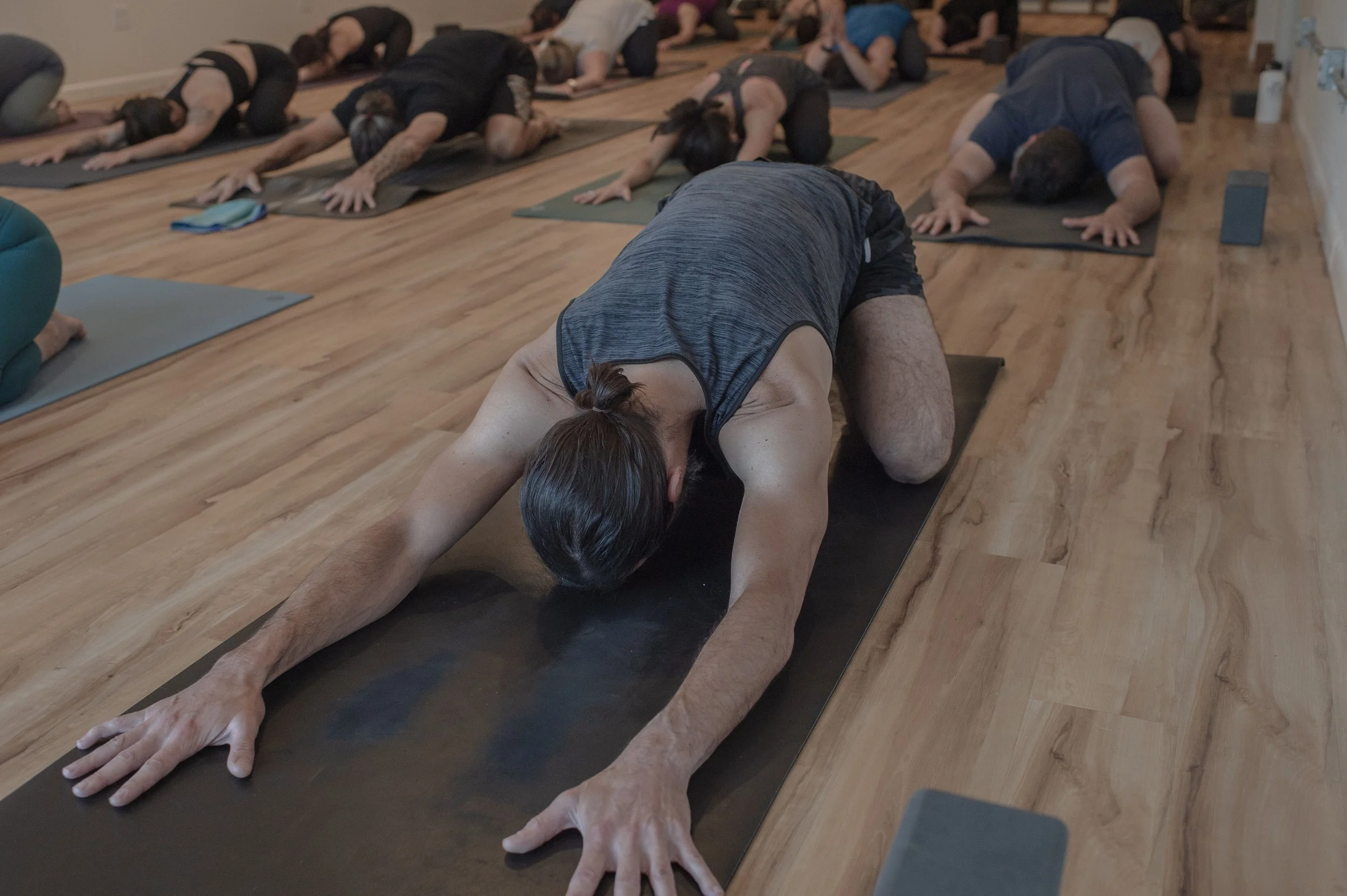 Beginner's Yoga Workshop