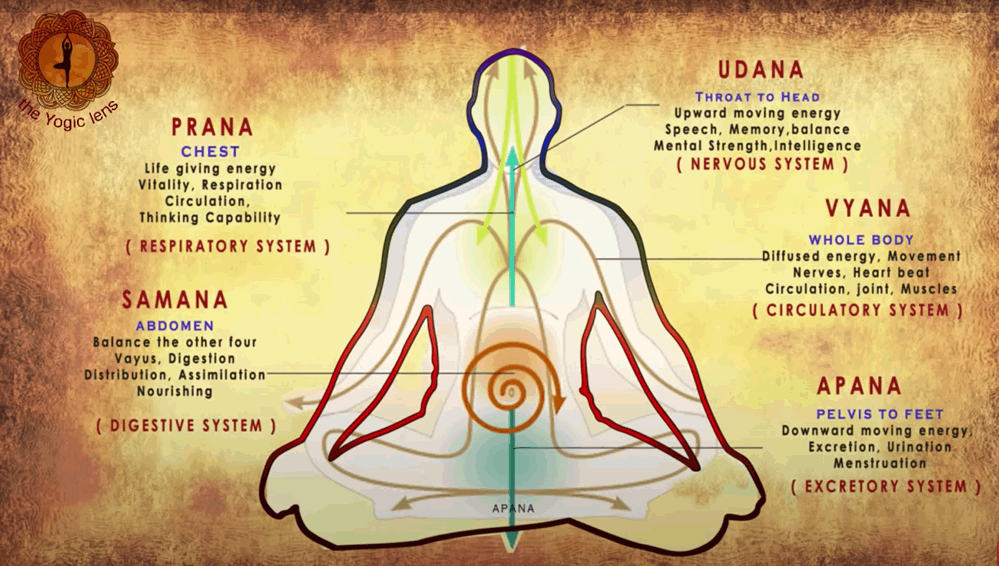 Pathways of Prana