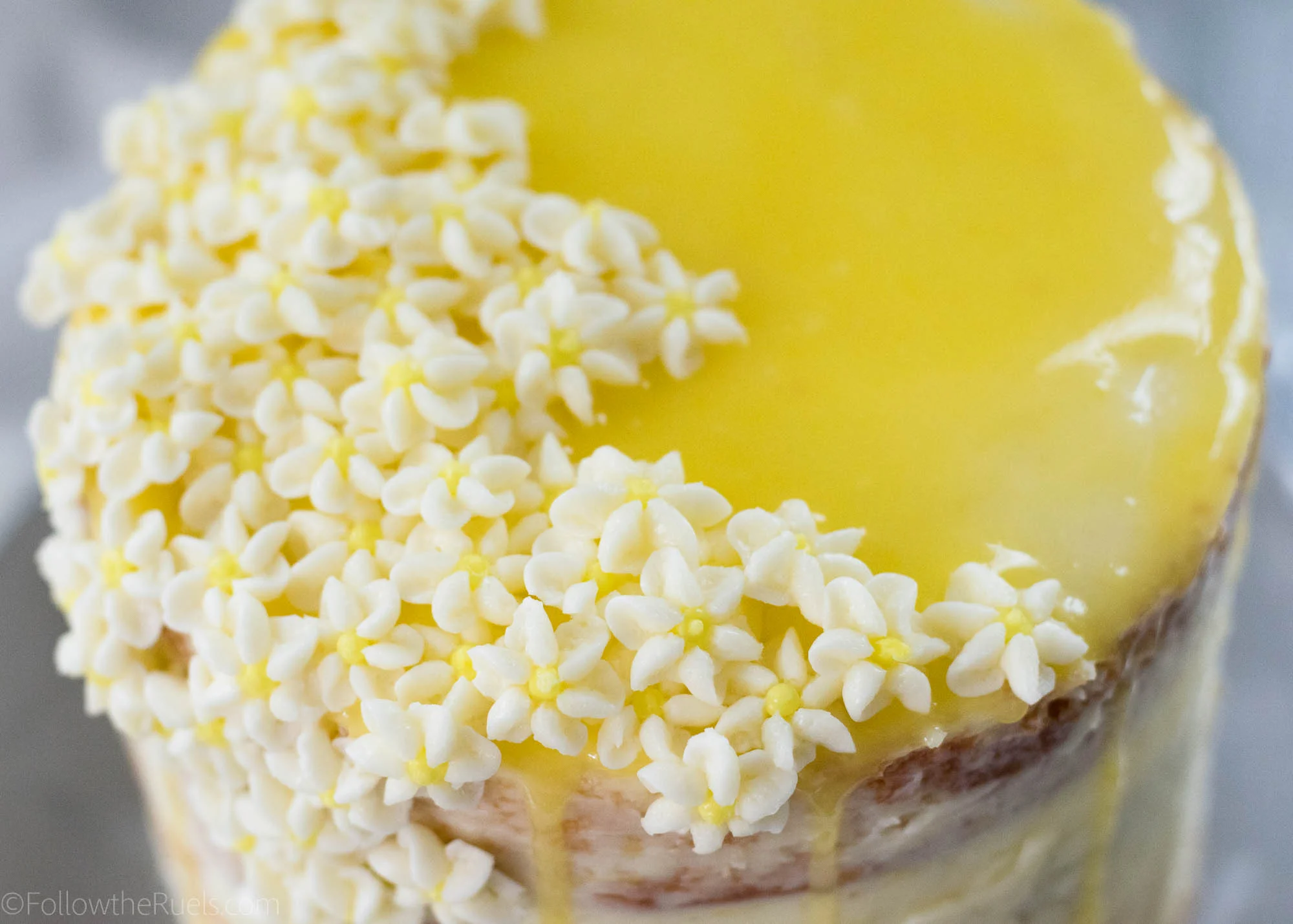 Lemon-Elderflower-Cake-20.jpg