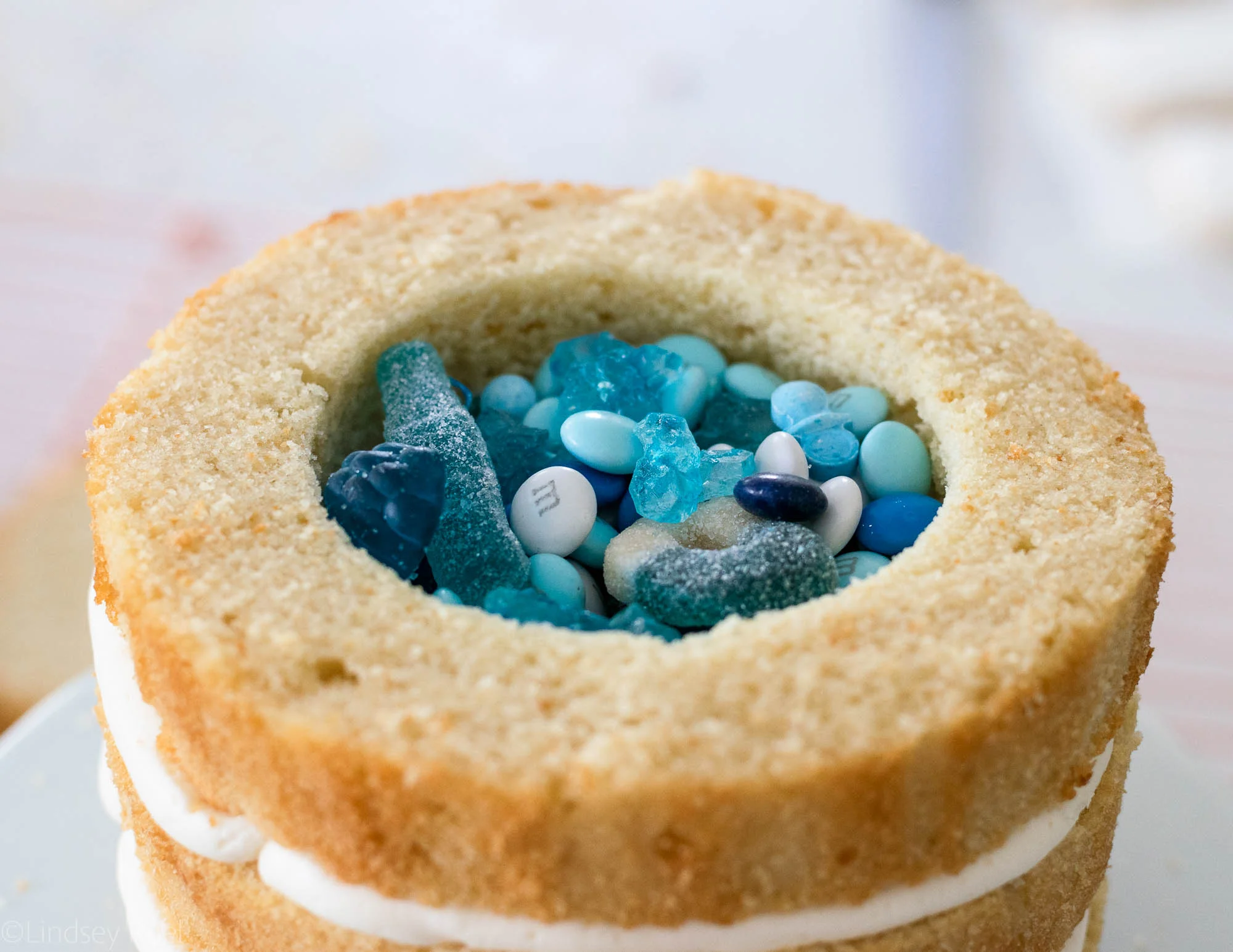 Gender-Reveal-Cake-8.jpg