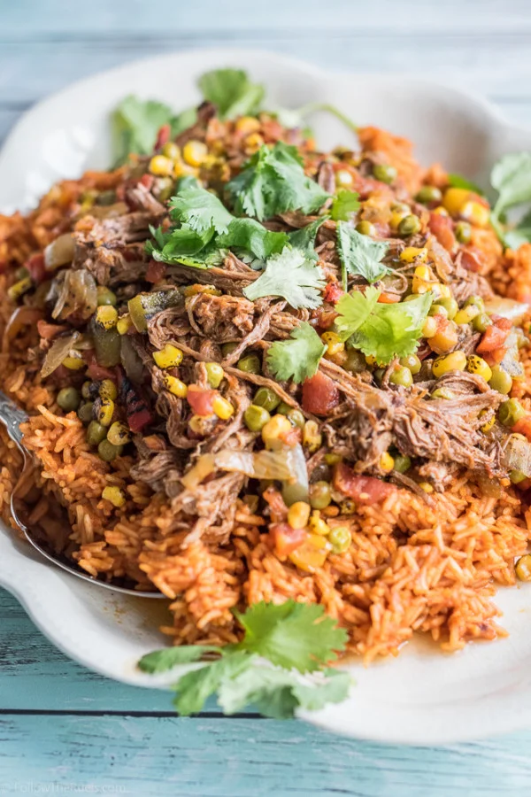 Ropa-Vieja-15-600x900.jpg